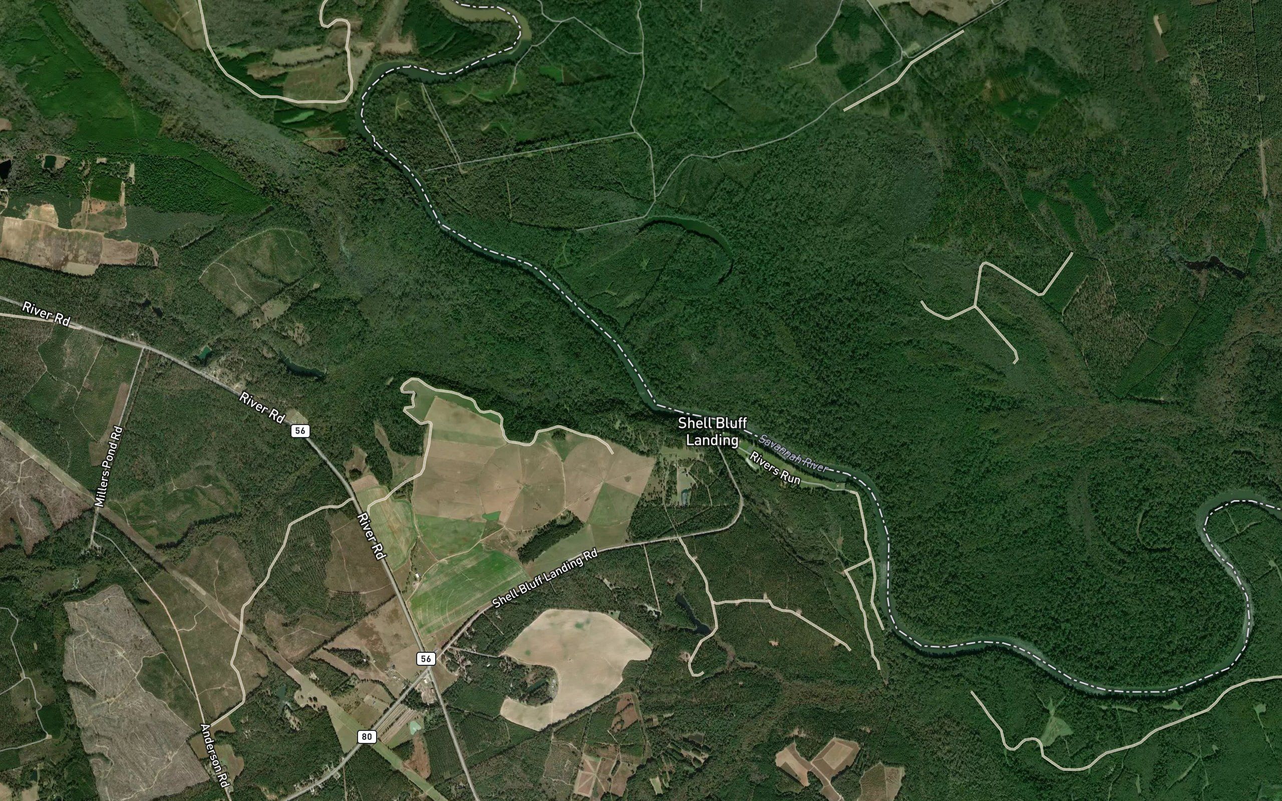 Boggy Gut Creek