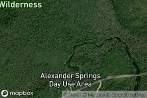 Billies Branch