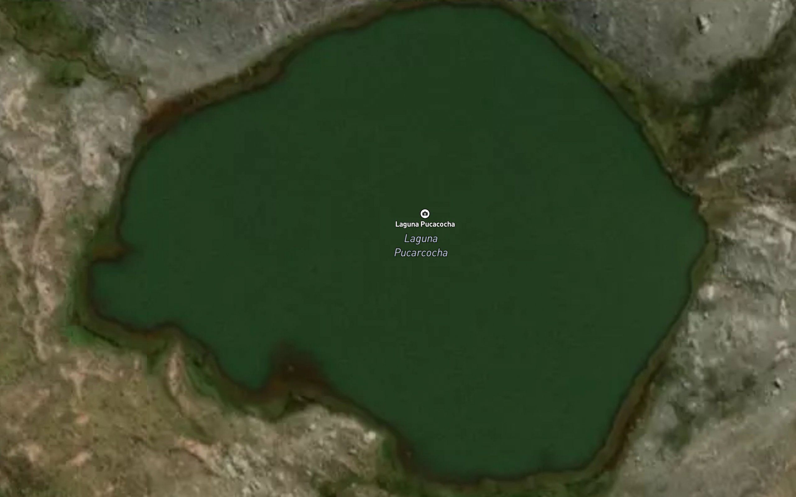 Laguna Pucacocha