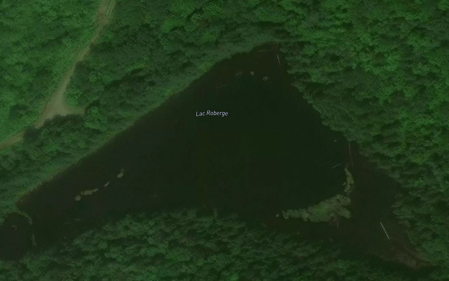 Satellite map of the Lac Roberge