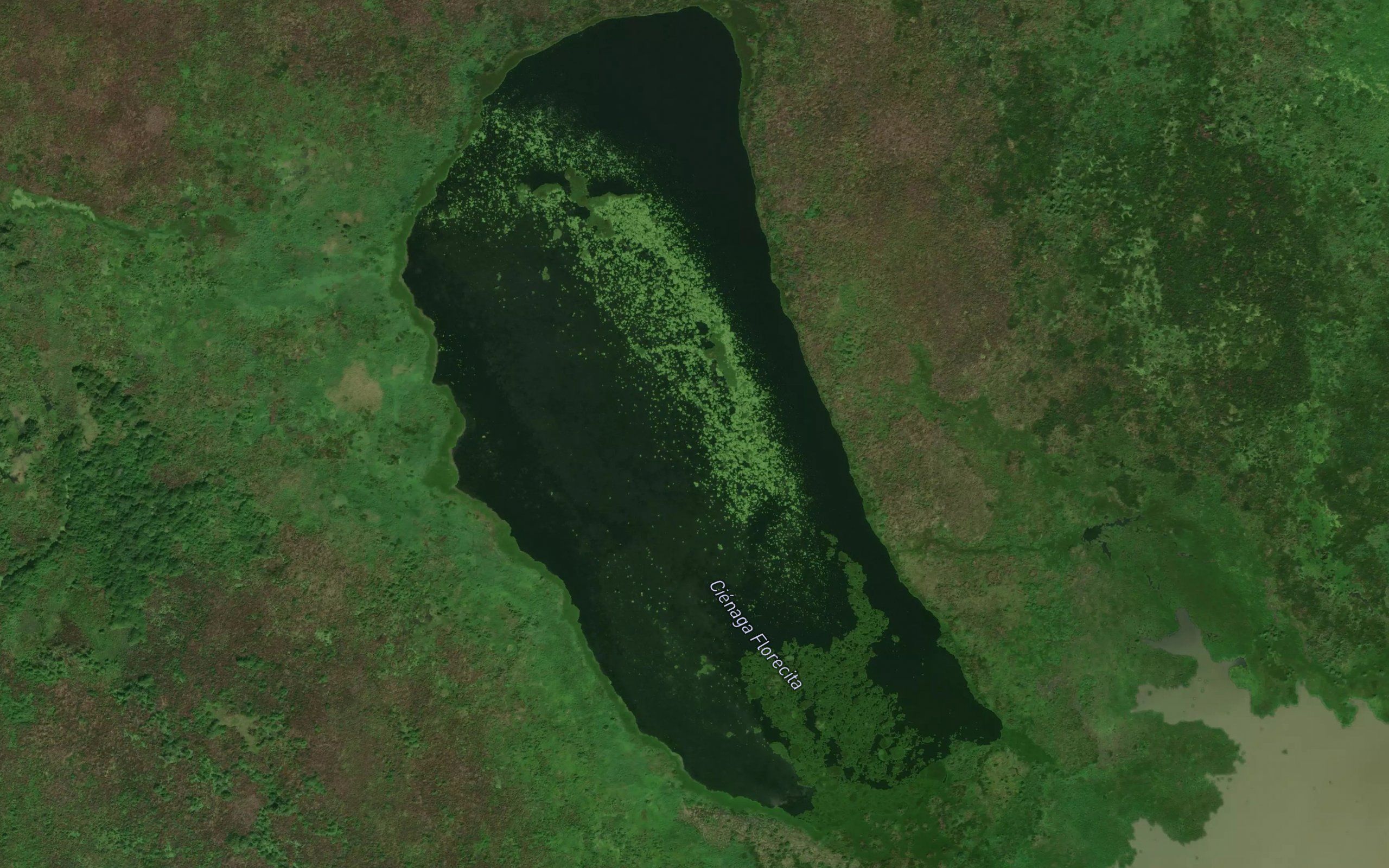 Cienaga Florecita