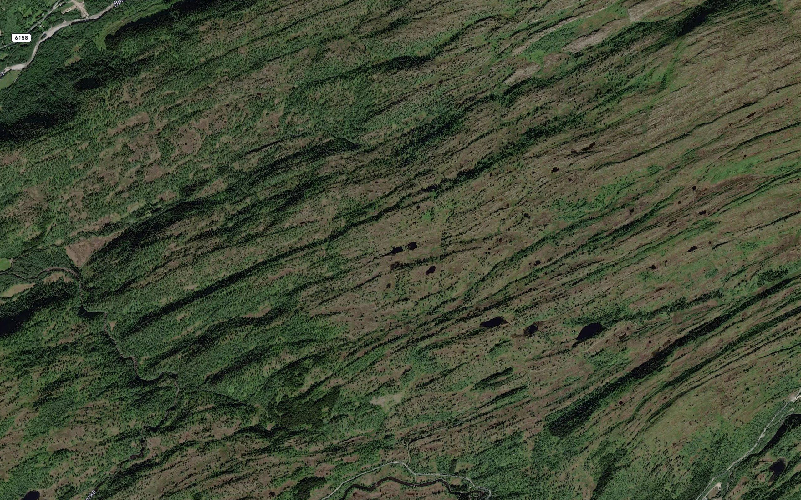 Fagerfjelltjonna