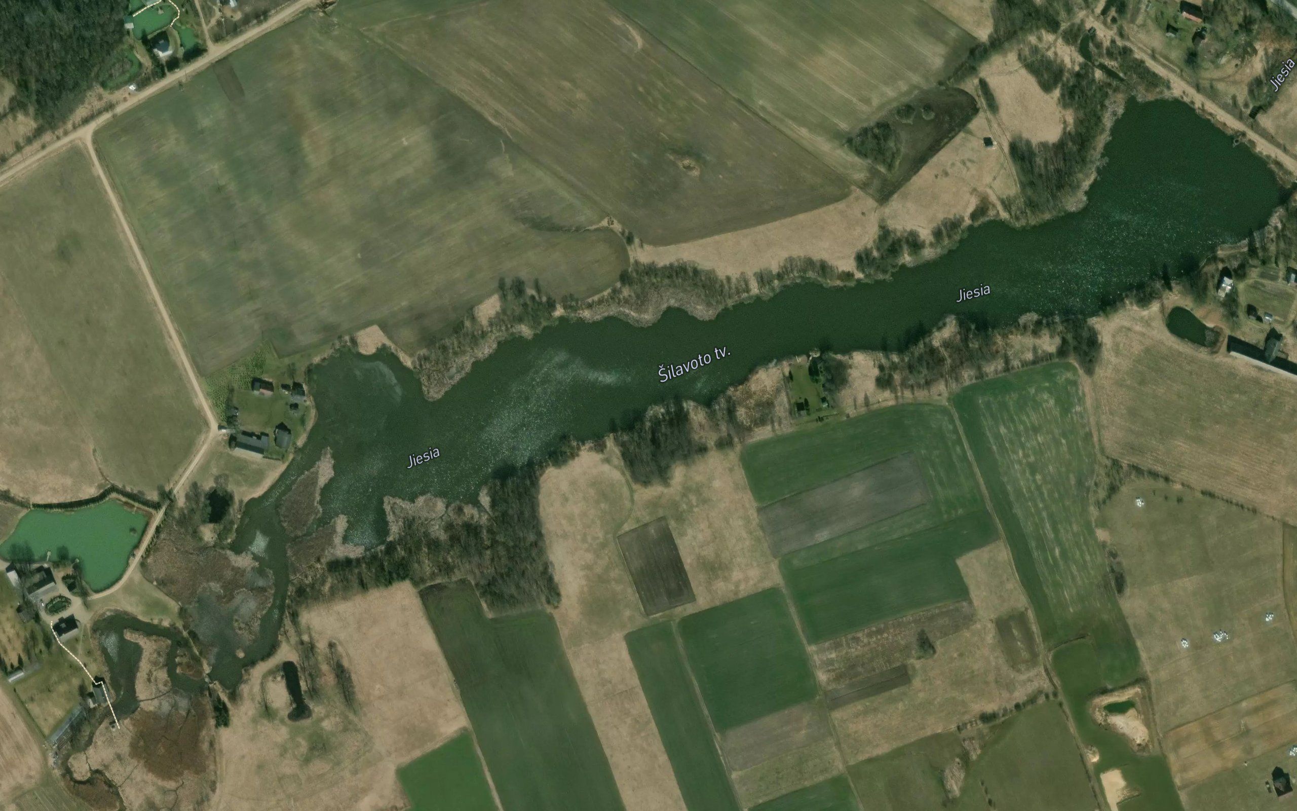Silavoto Tvenkinys