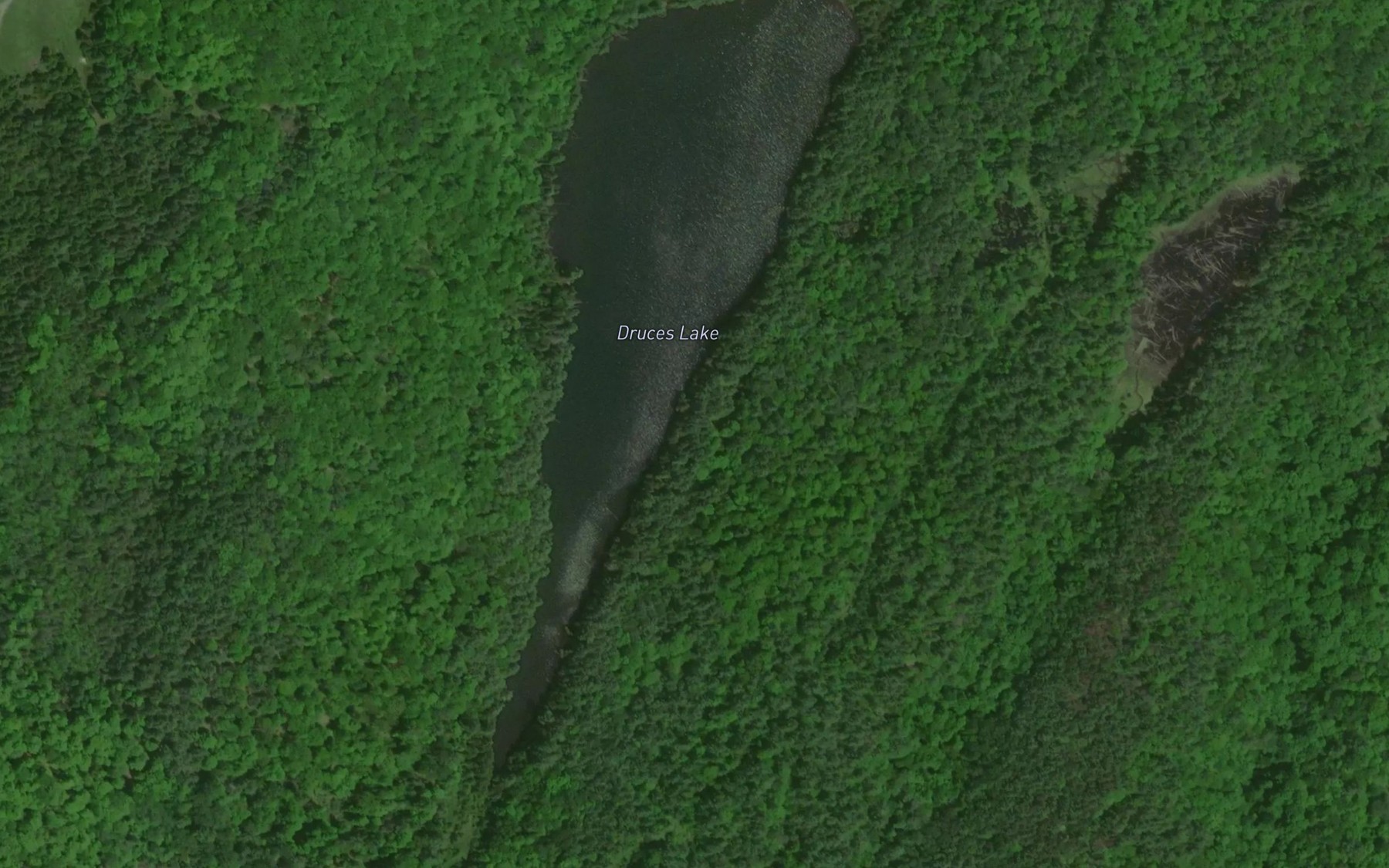 Satellite map of the Druces Lake