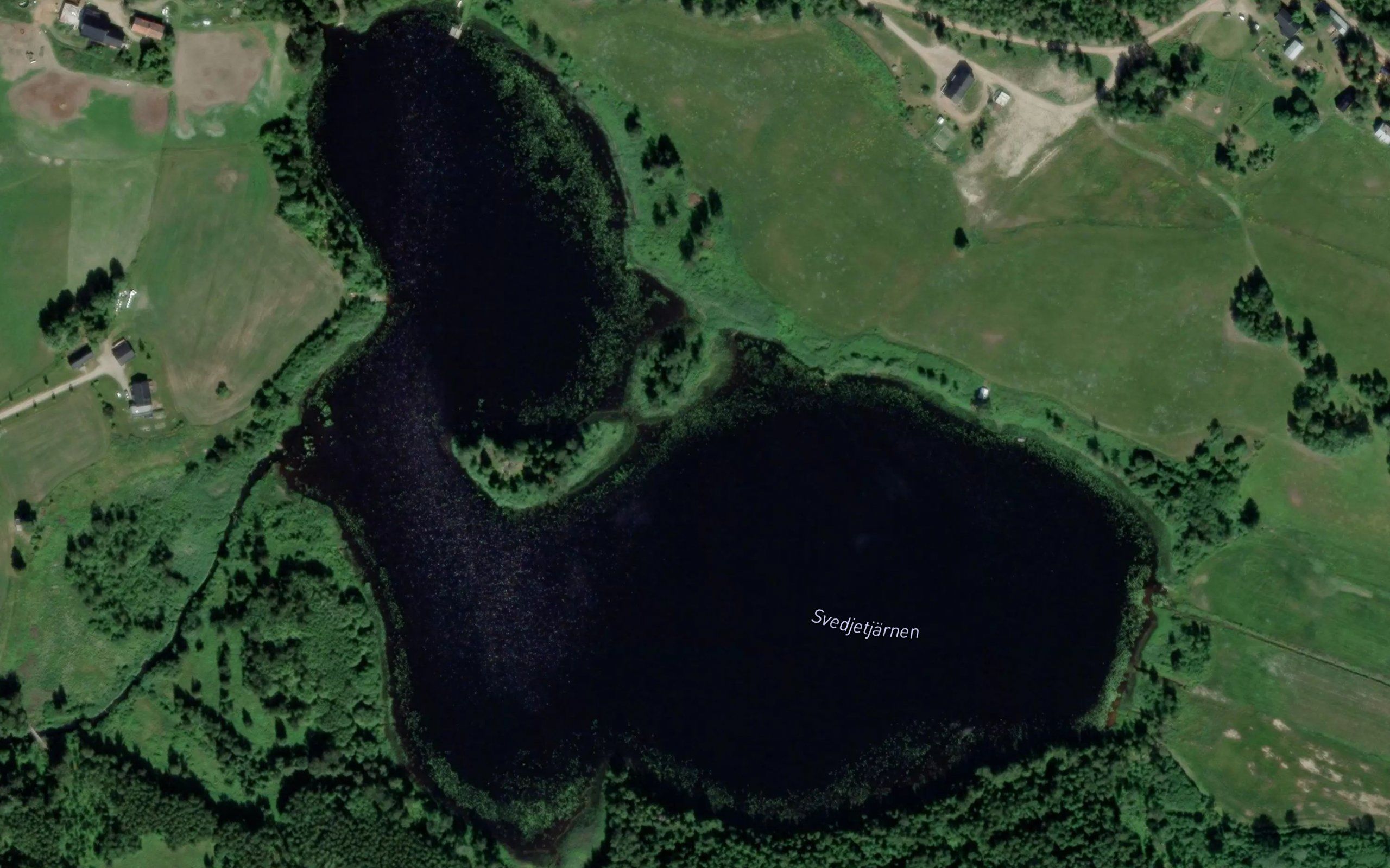Svedjetjaernen