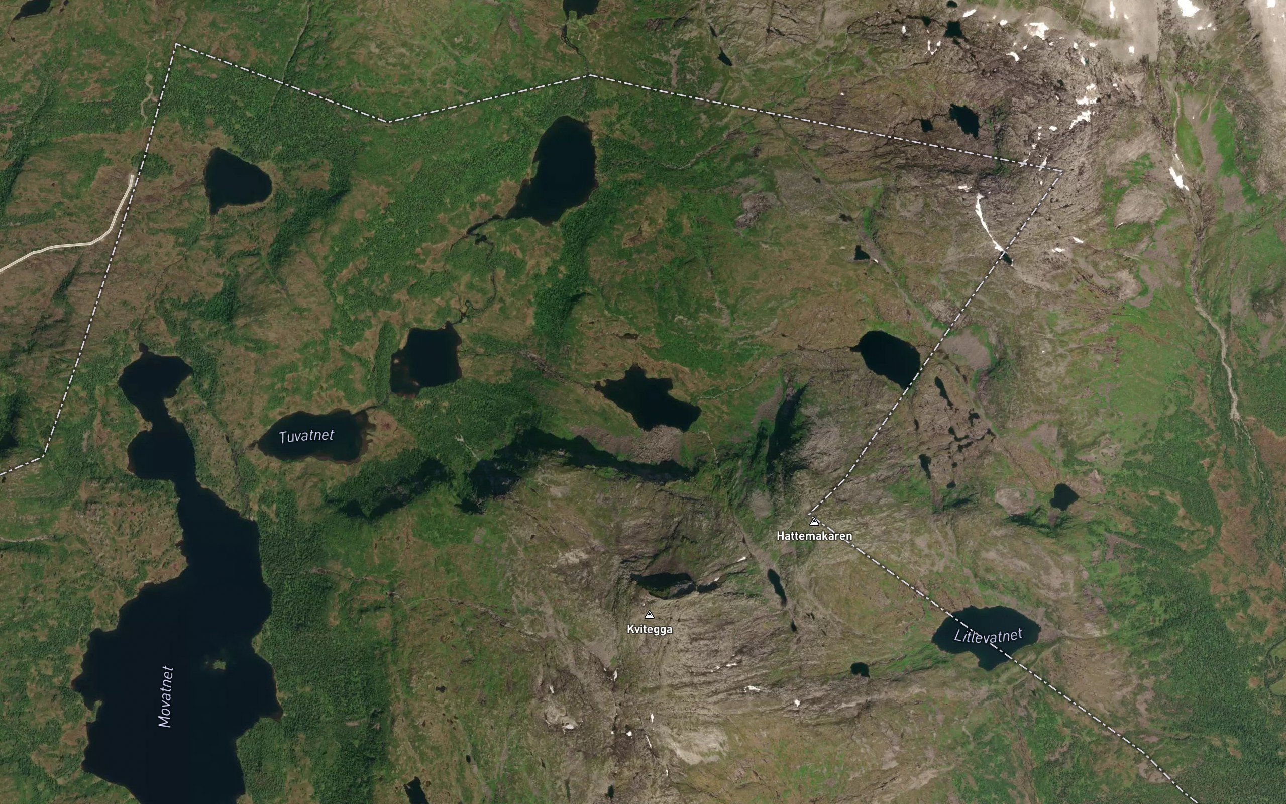Rokkevatnet