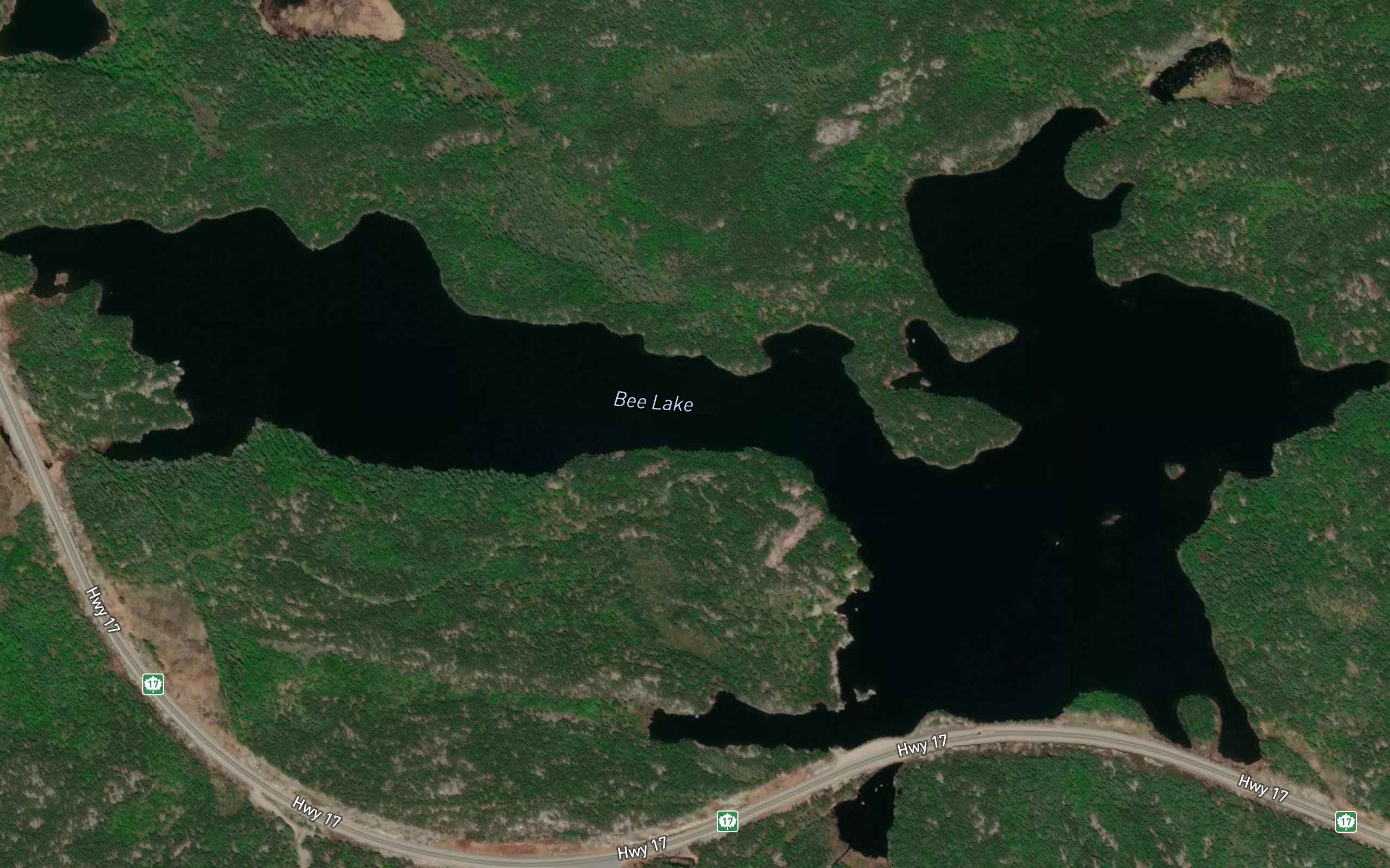 Bee Lake