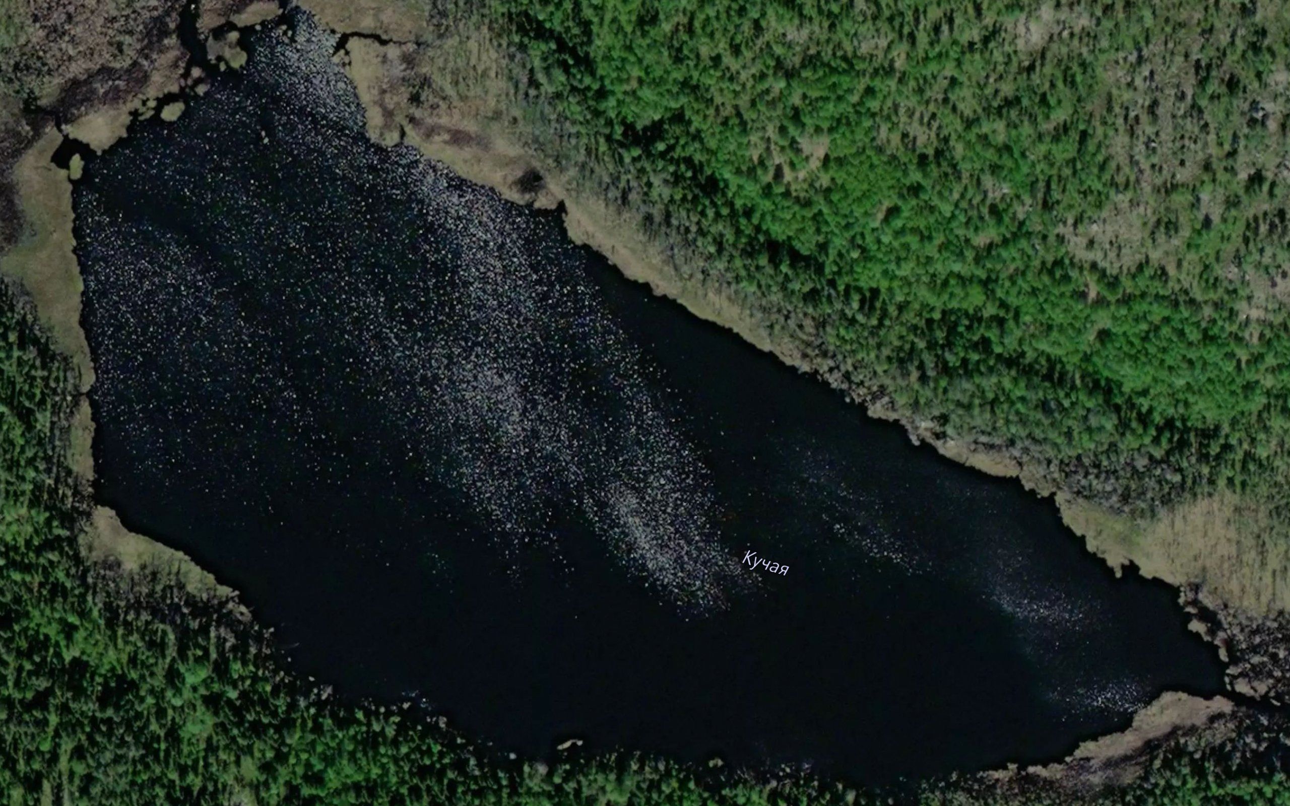 Kuutsanjaervi