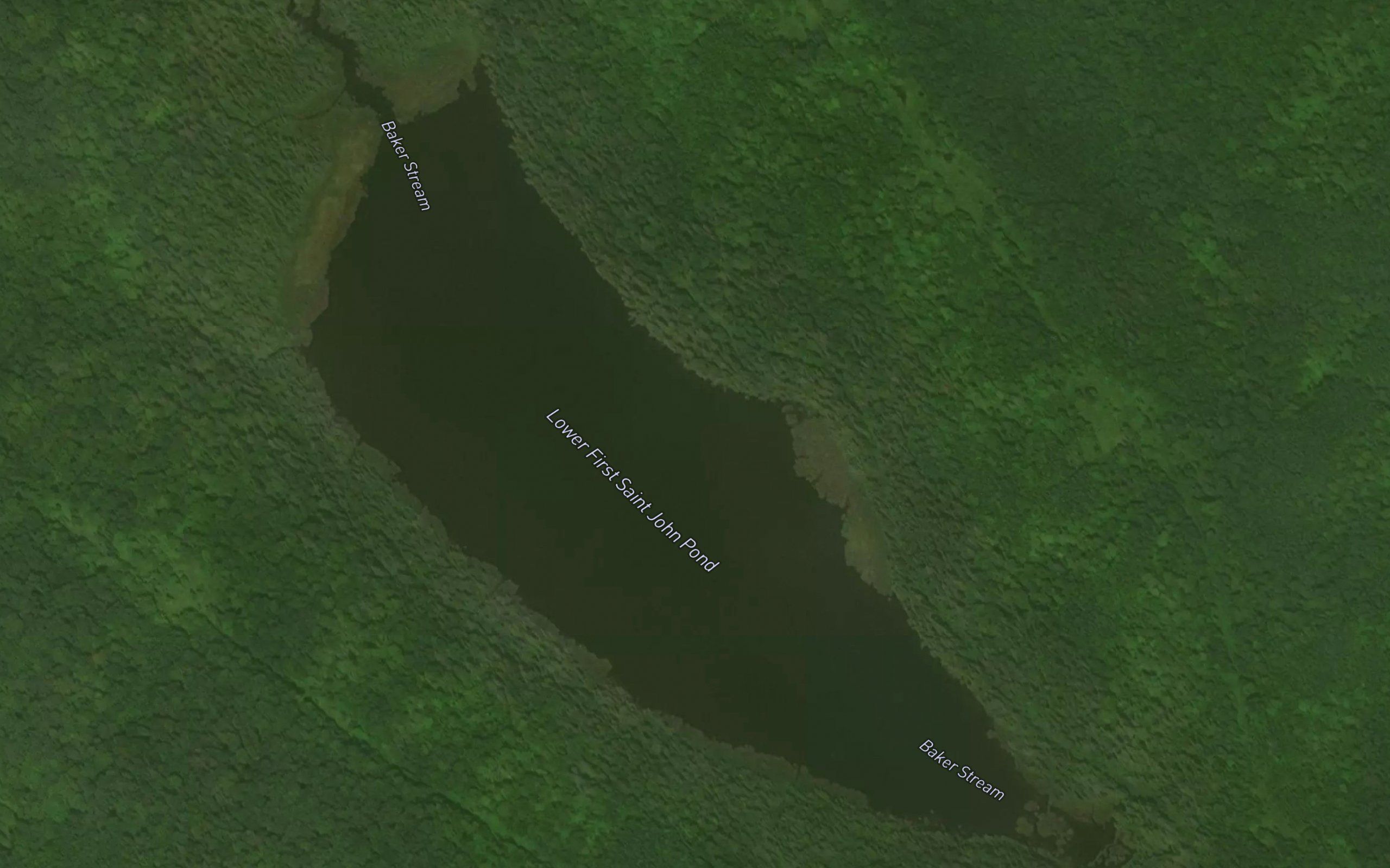 Lower First Saint John Pond