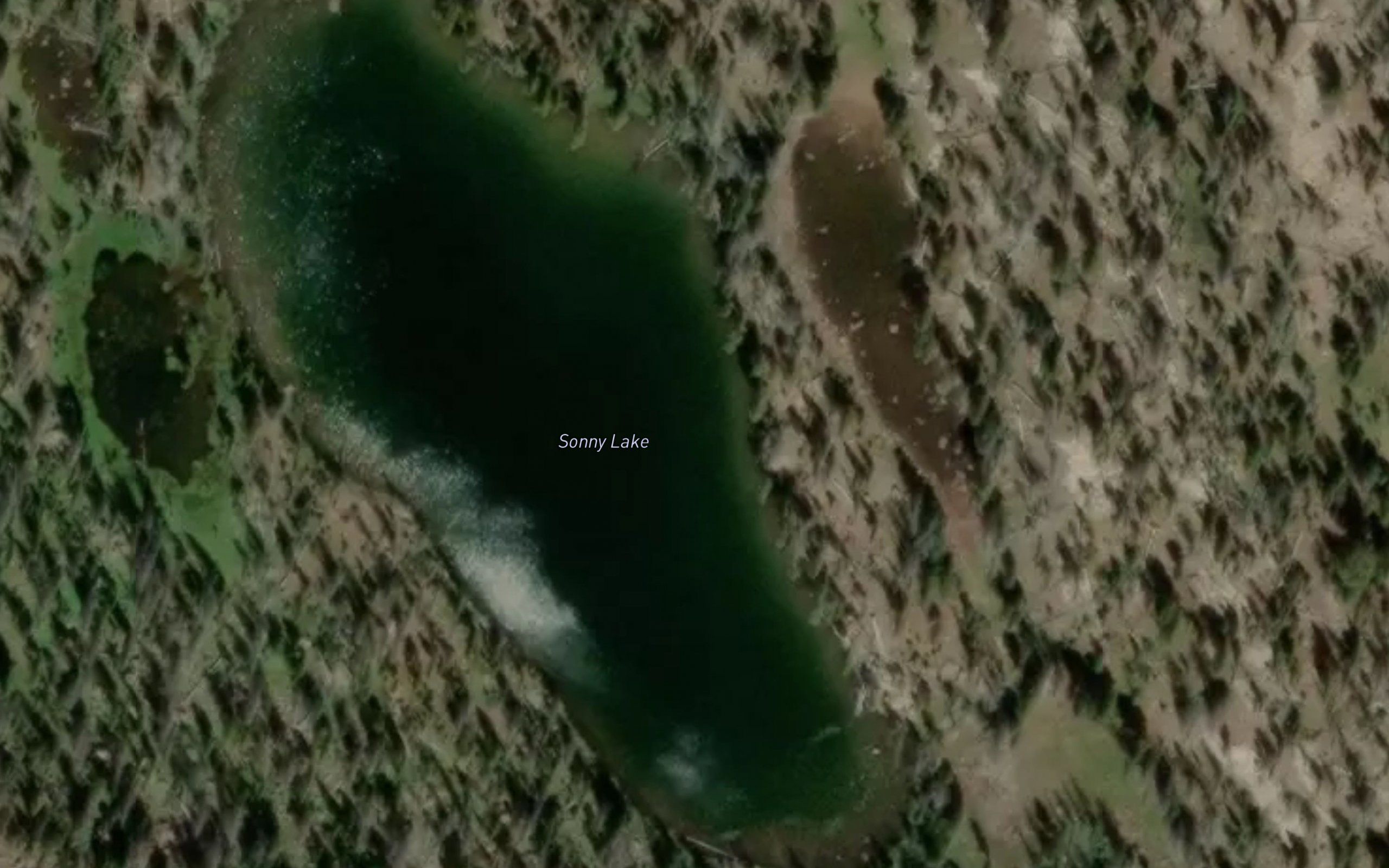 Sonny Lake