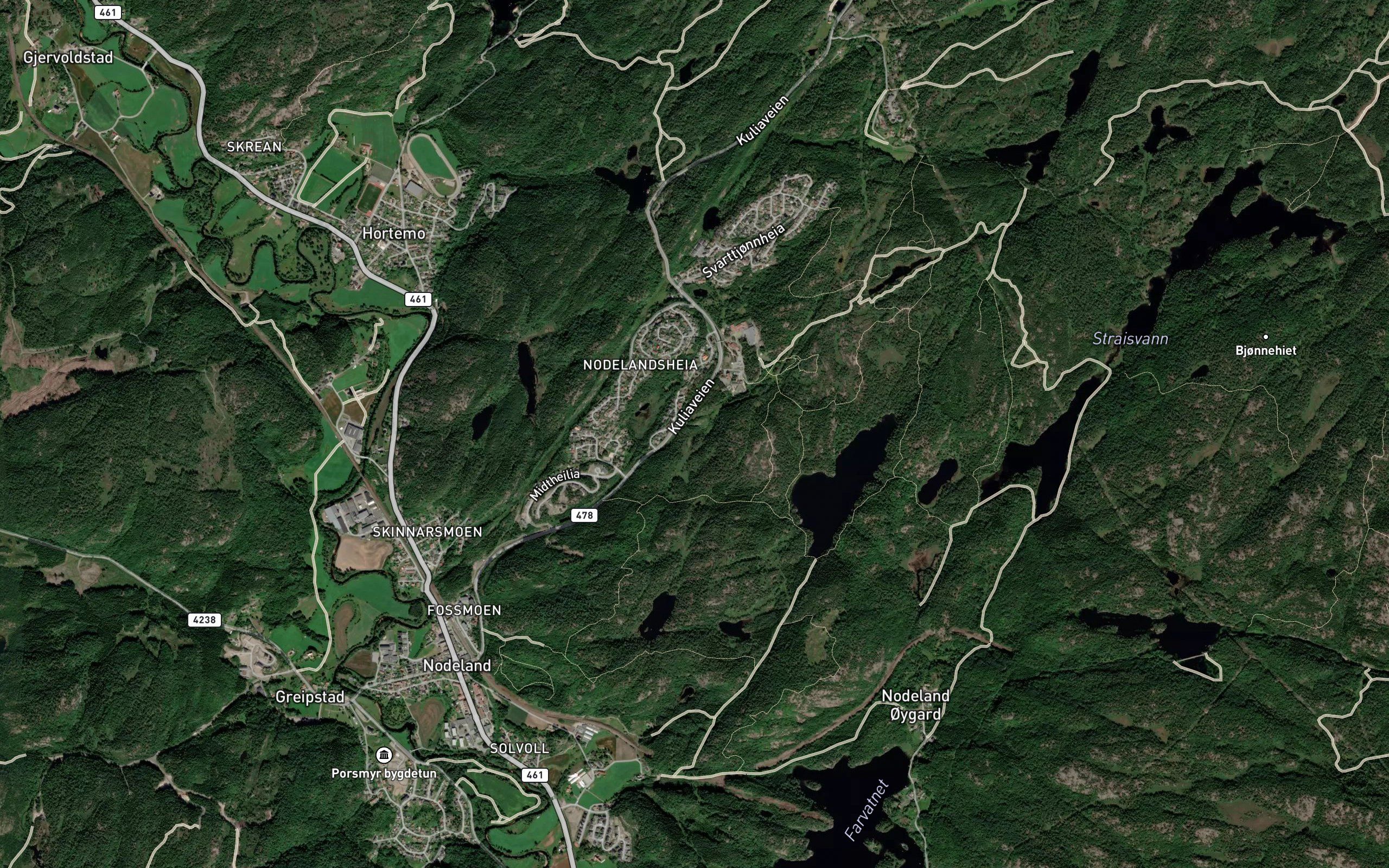 Borustjonn