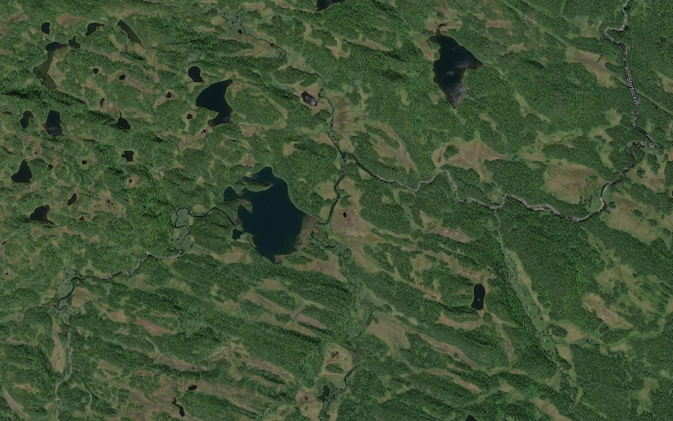 Tjarrovajajokk