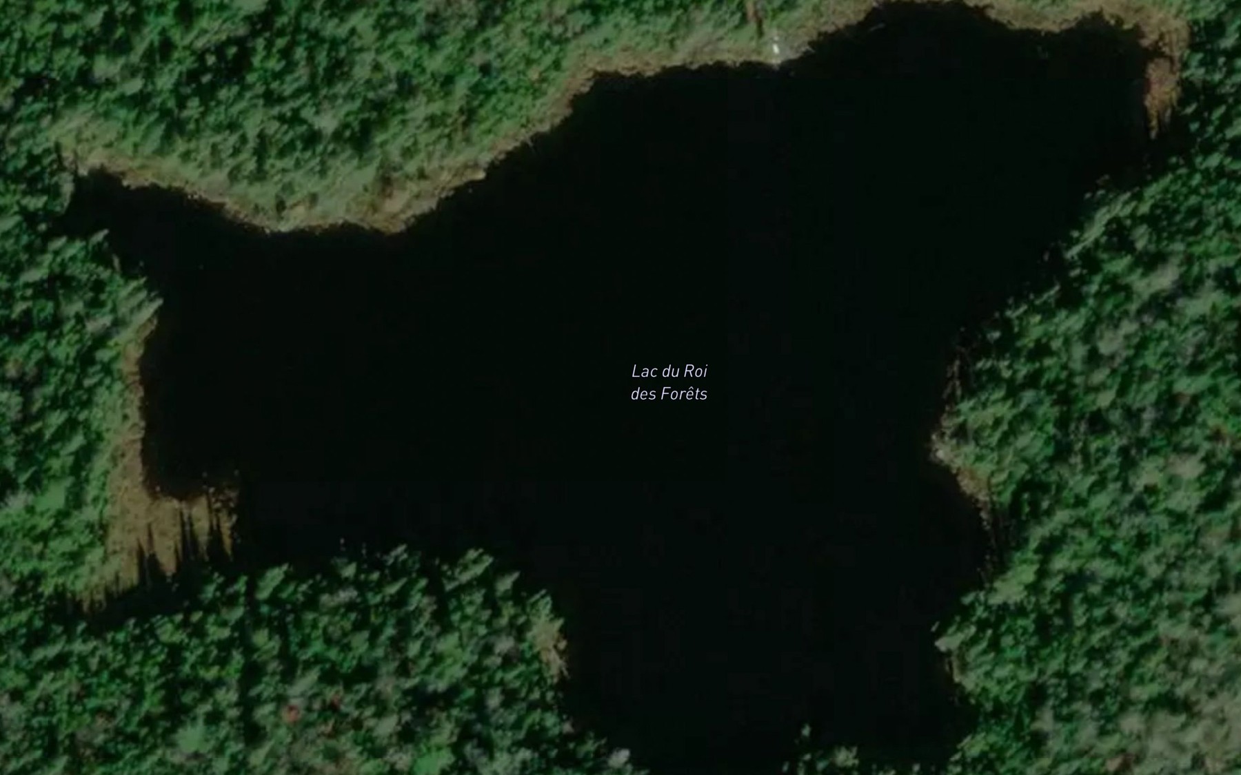 Satellite map of the Lac du Roi des Forets