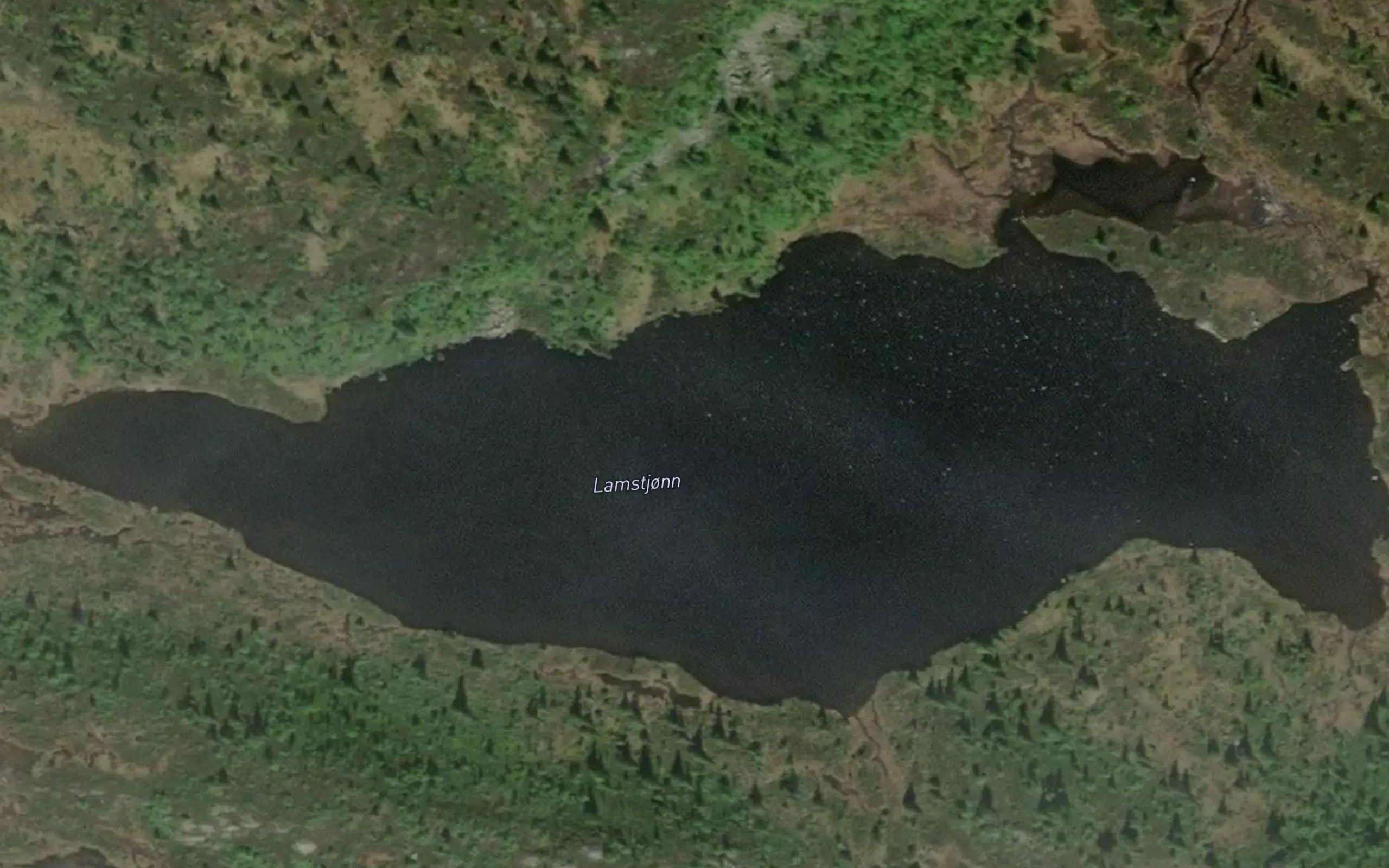 Lomstjorn