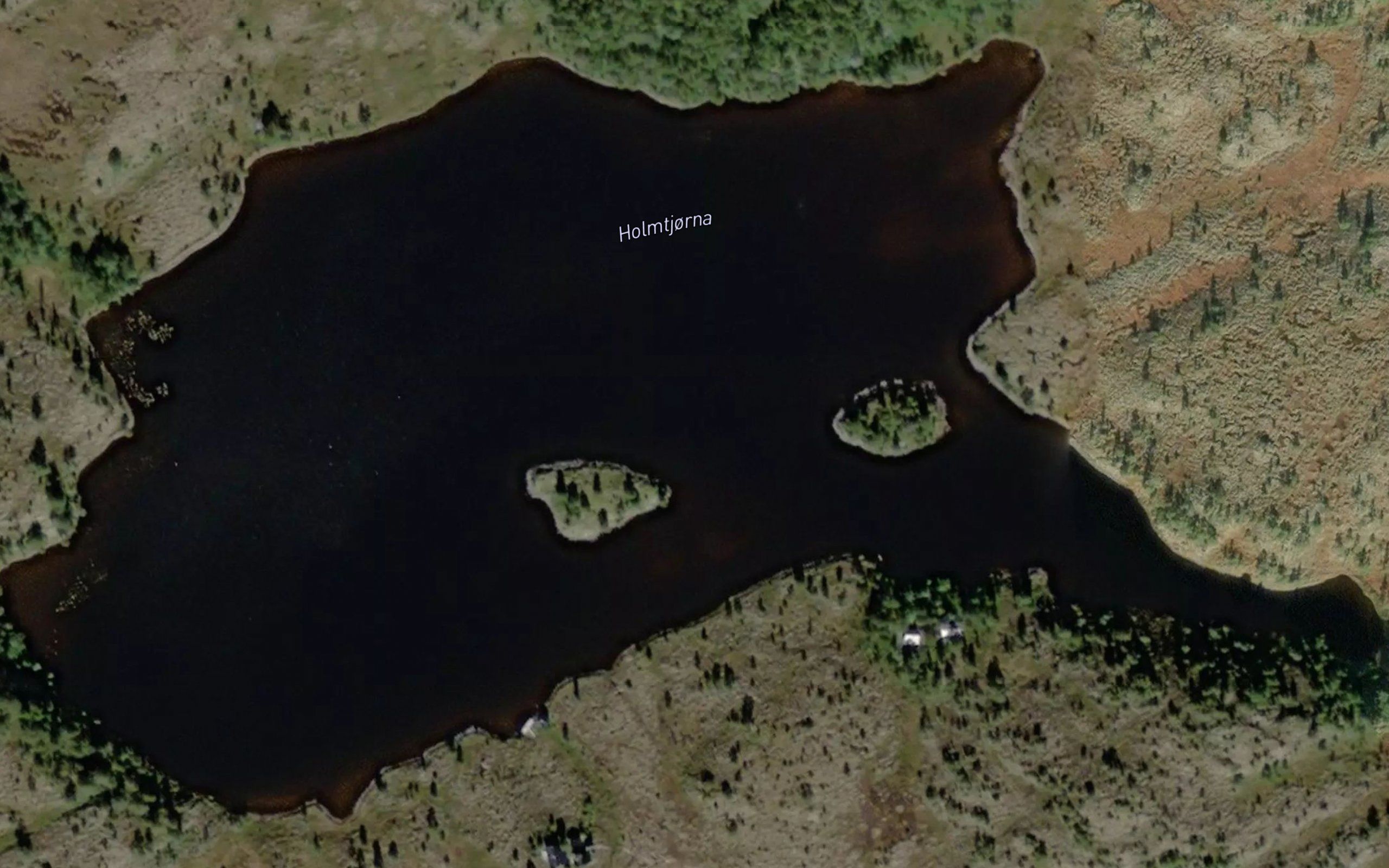 Holmtjorna