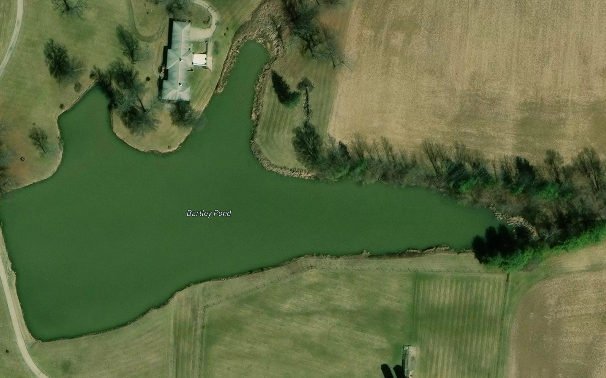Bartley Pond