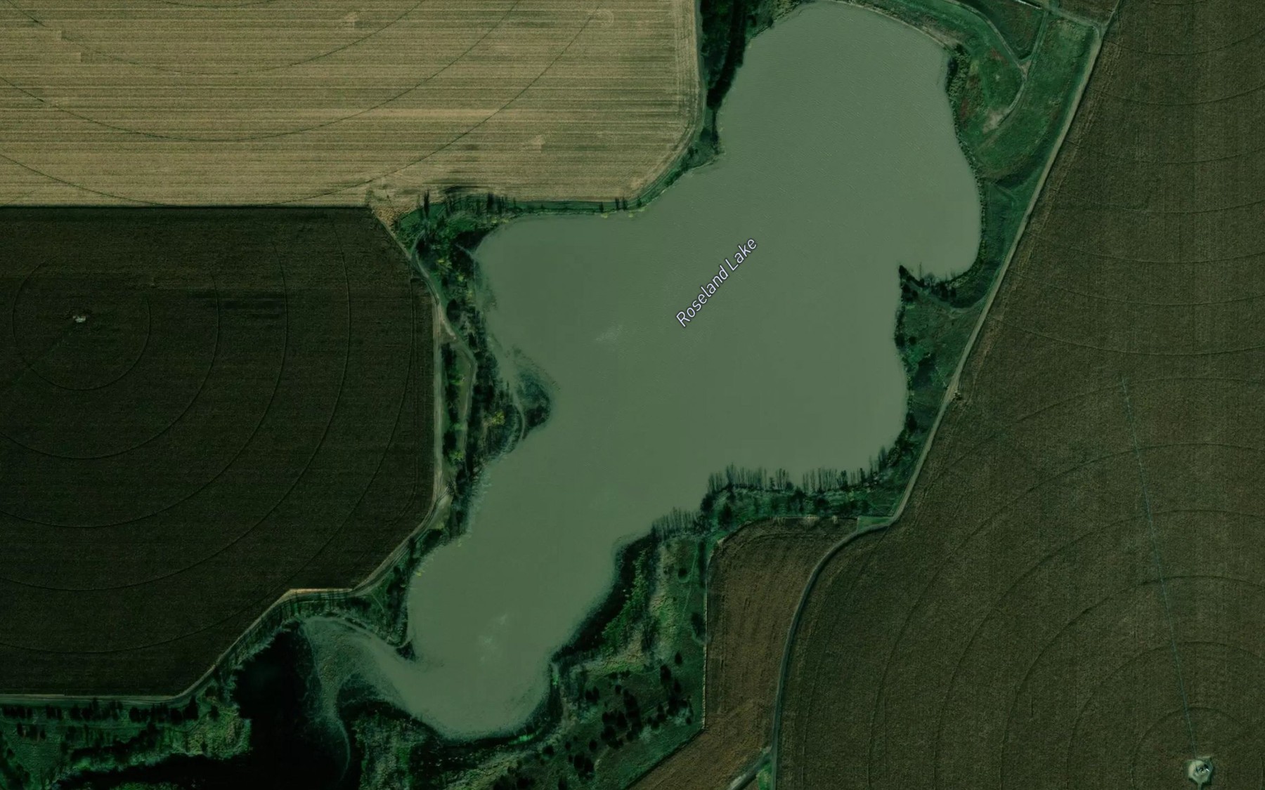 Satellite map of the Roseland Lake