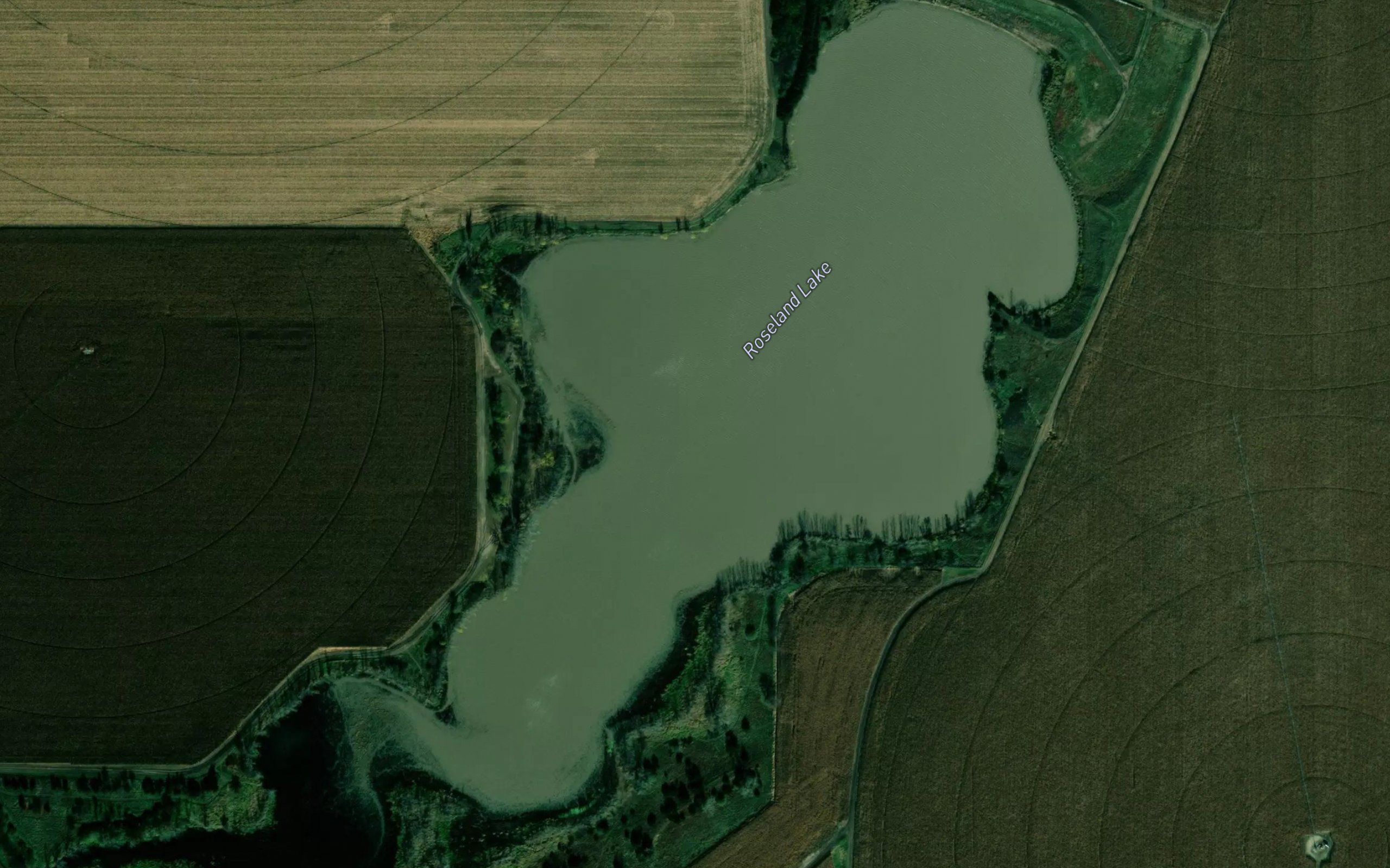 Roseland Lake