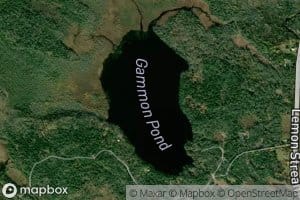 Gammon Pond