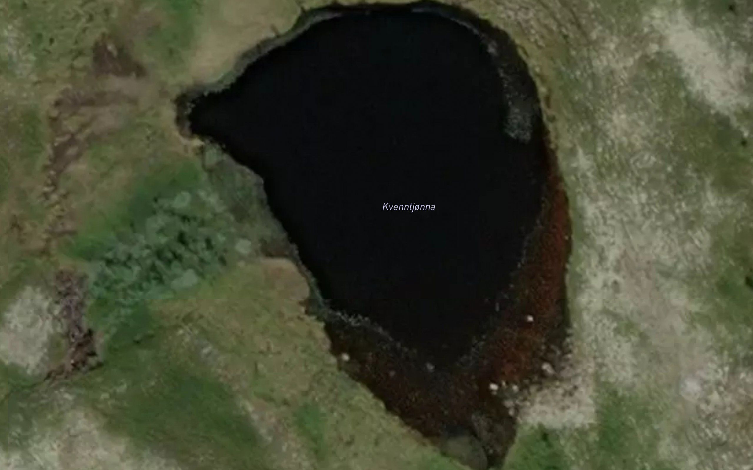 Kvenntjonna