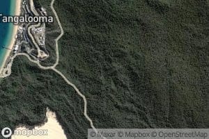 Tangalooma Road