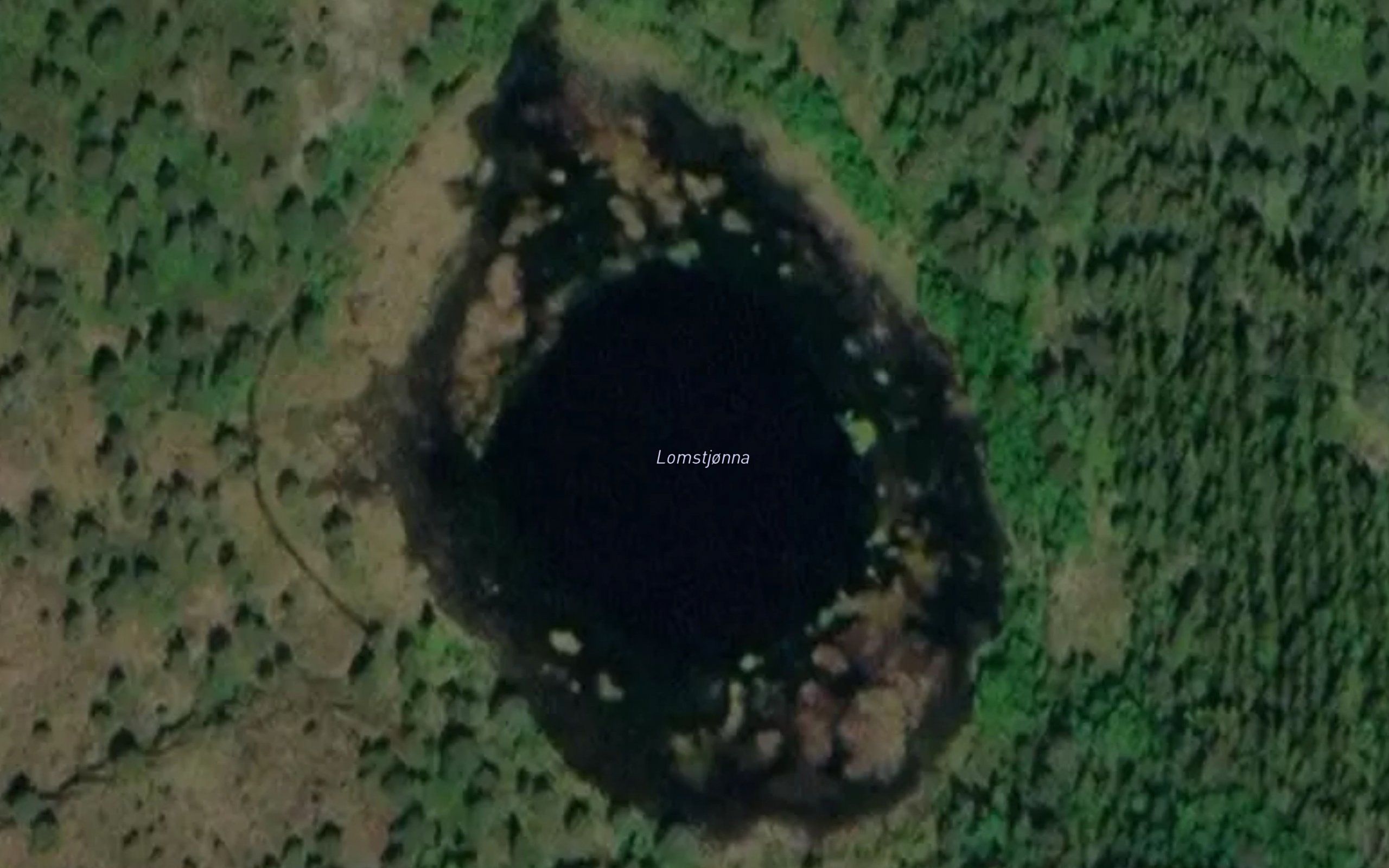 Lomstjorna