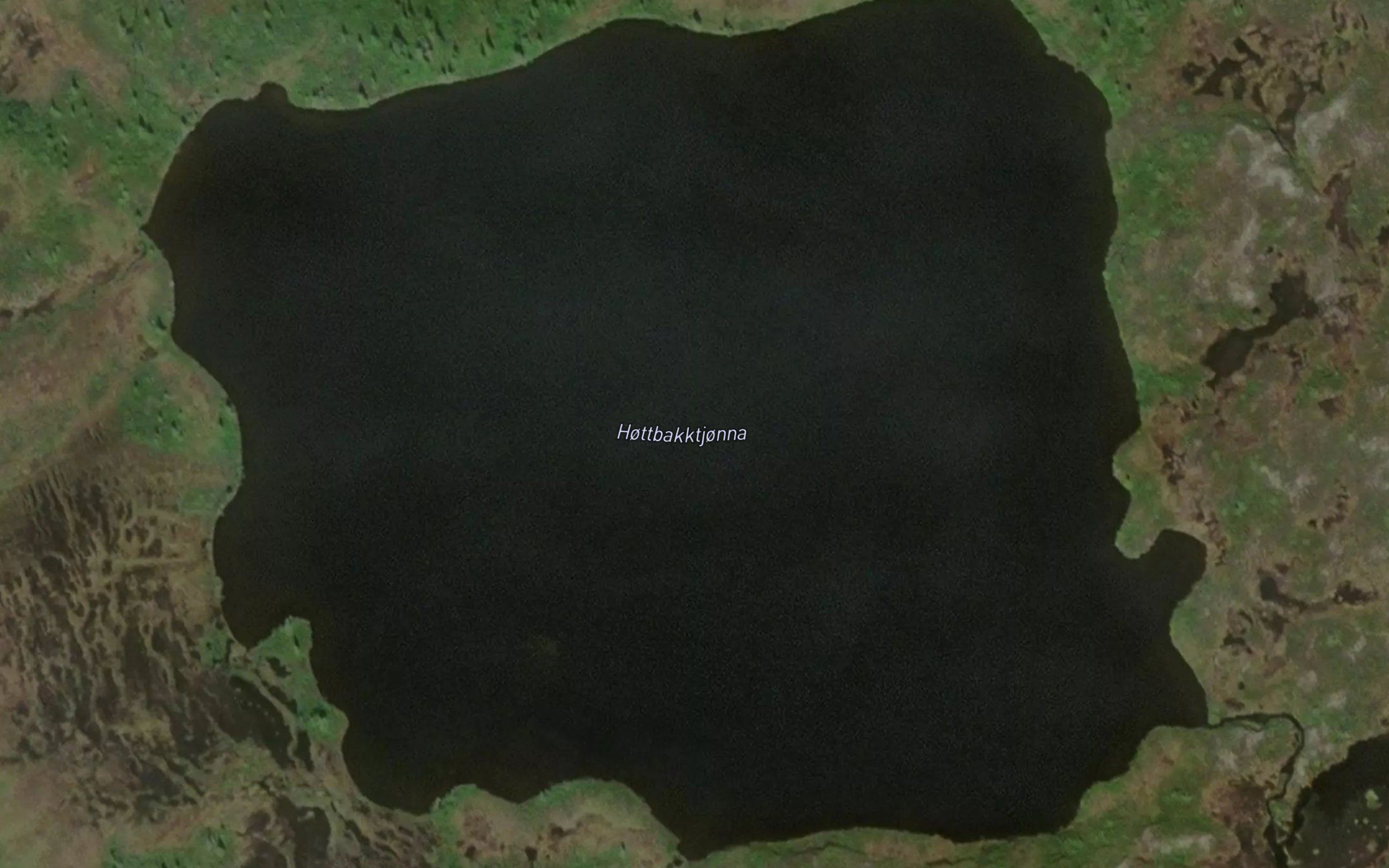 Hottbakktjorna