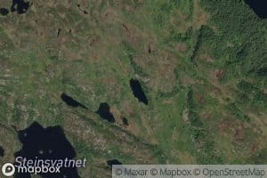 Svartetjorn