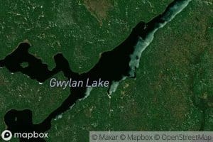 Gwylan Lake