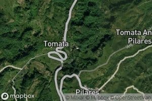Cascada Tomata