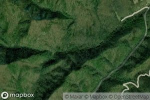 Little Cliffy Branch