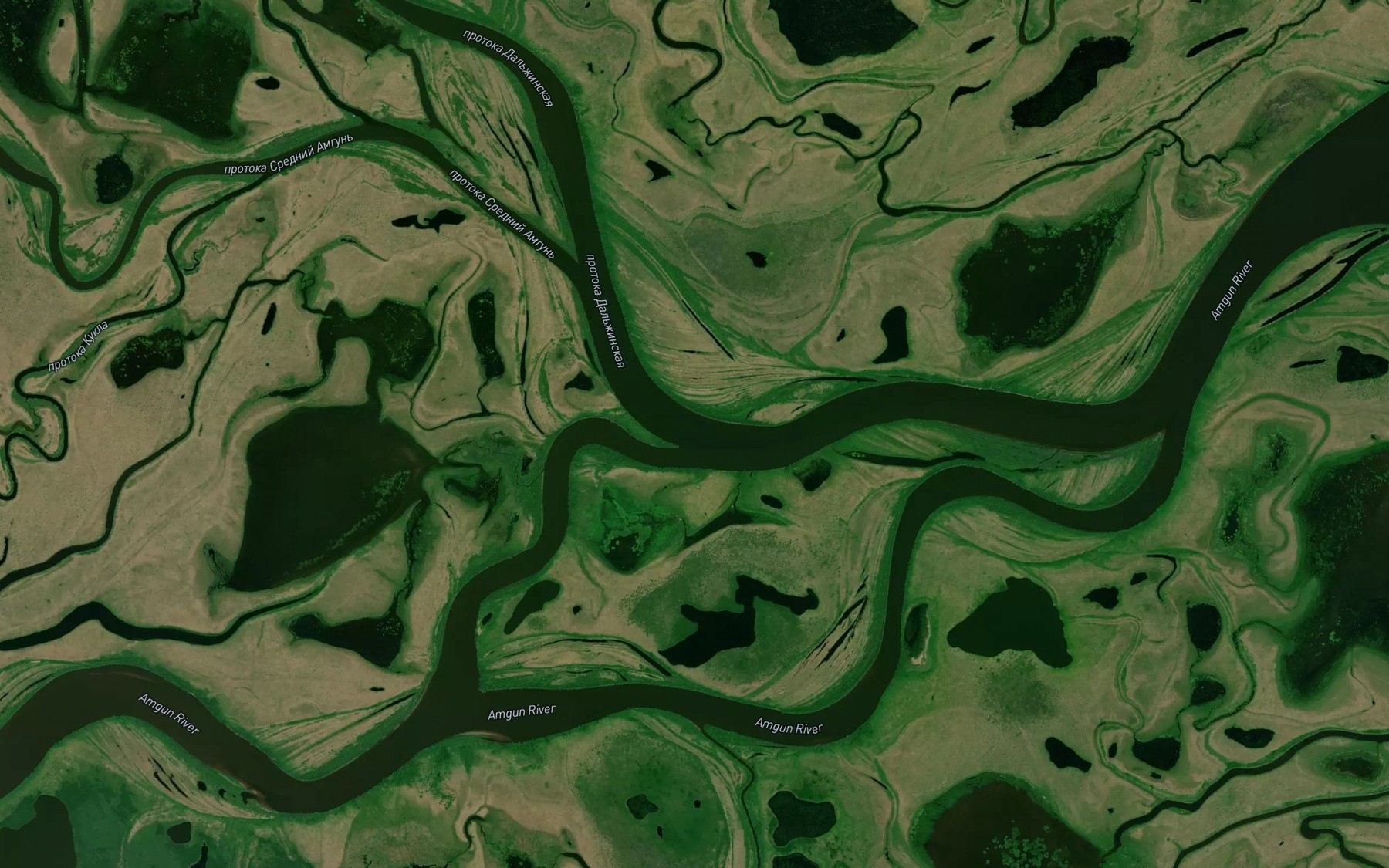 Satellite map of the Protoka Dal'zhinskaya