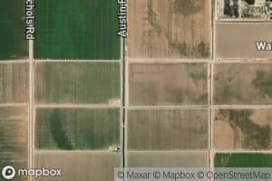 Evergreen Lateral Three