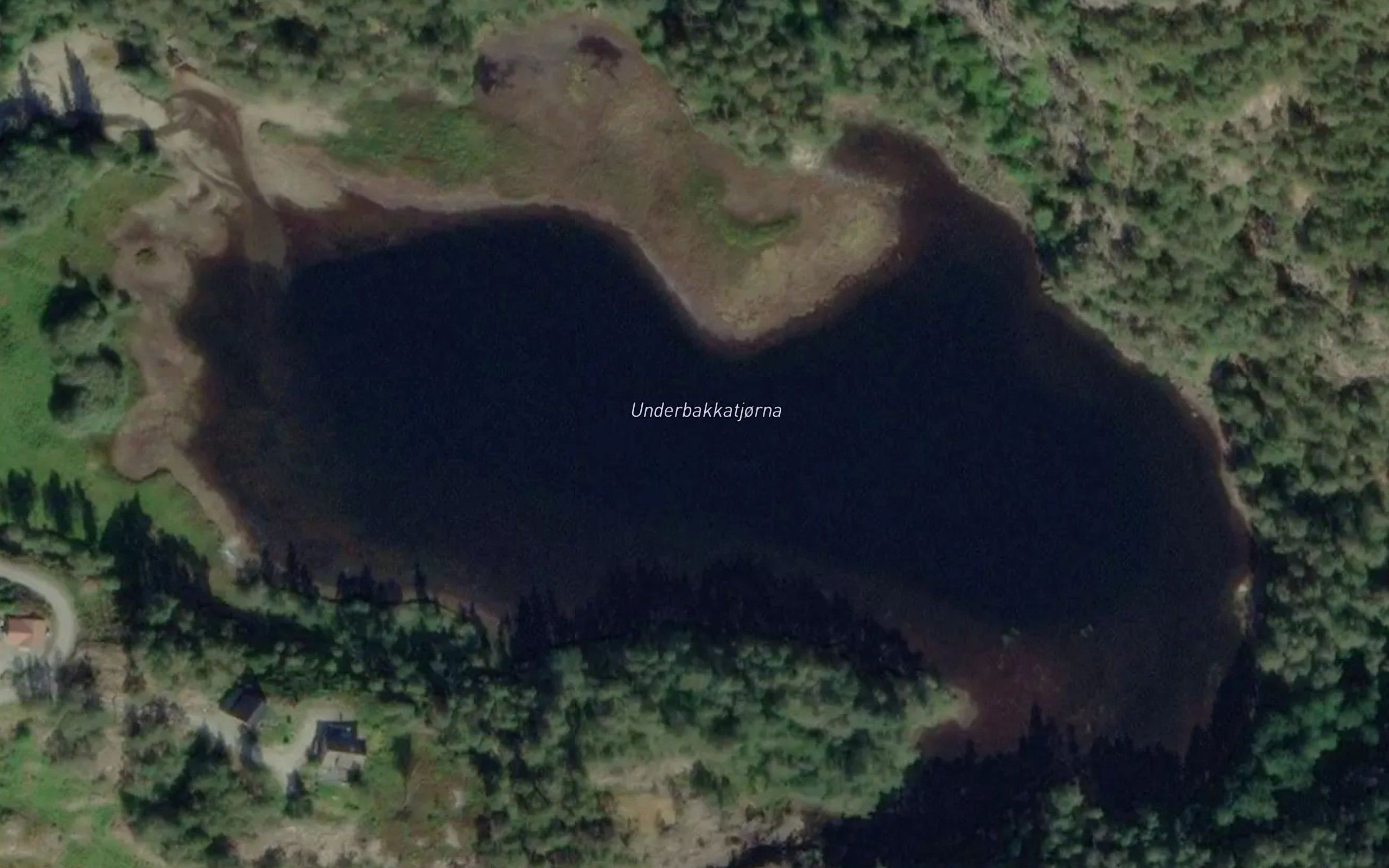 Underbakkatjorna