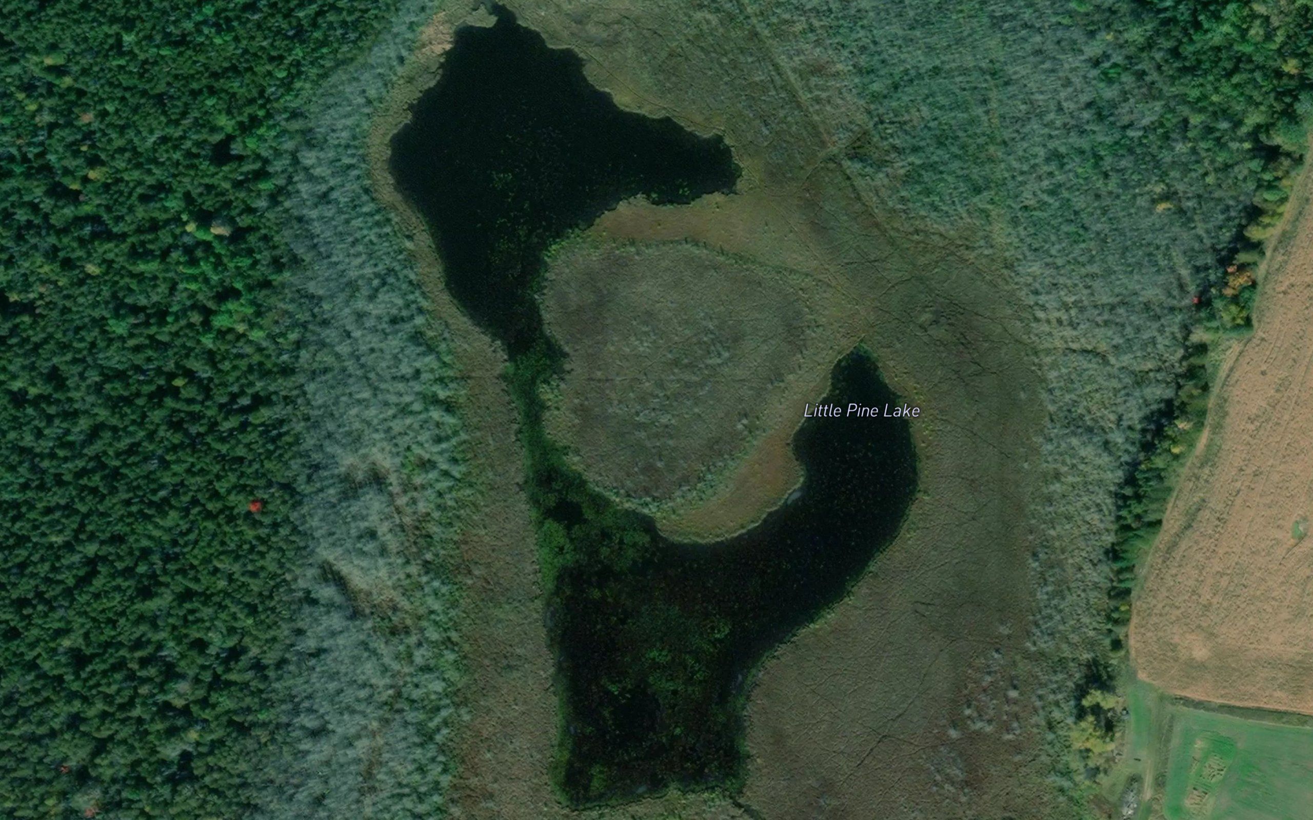 Little Pine Lake