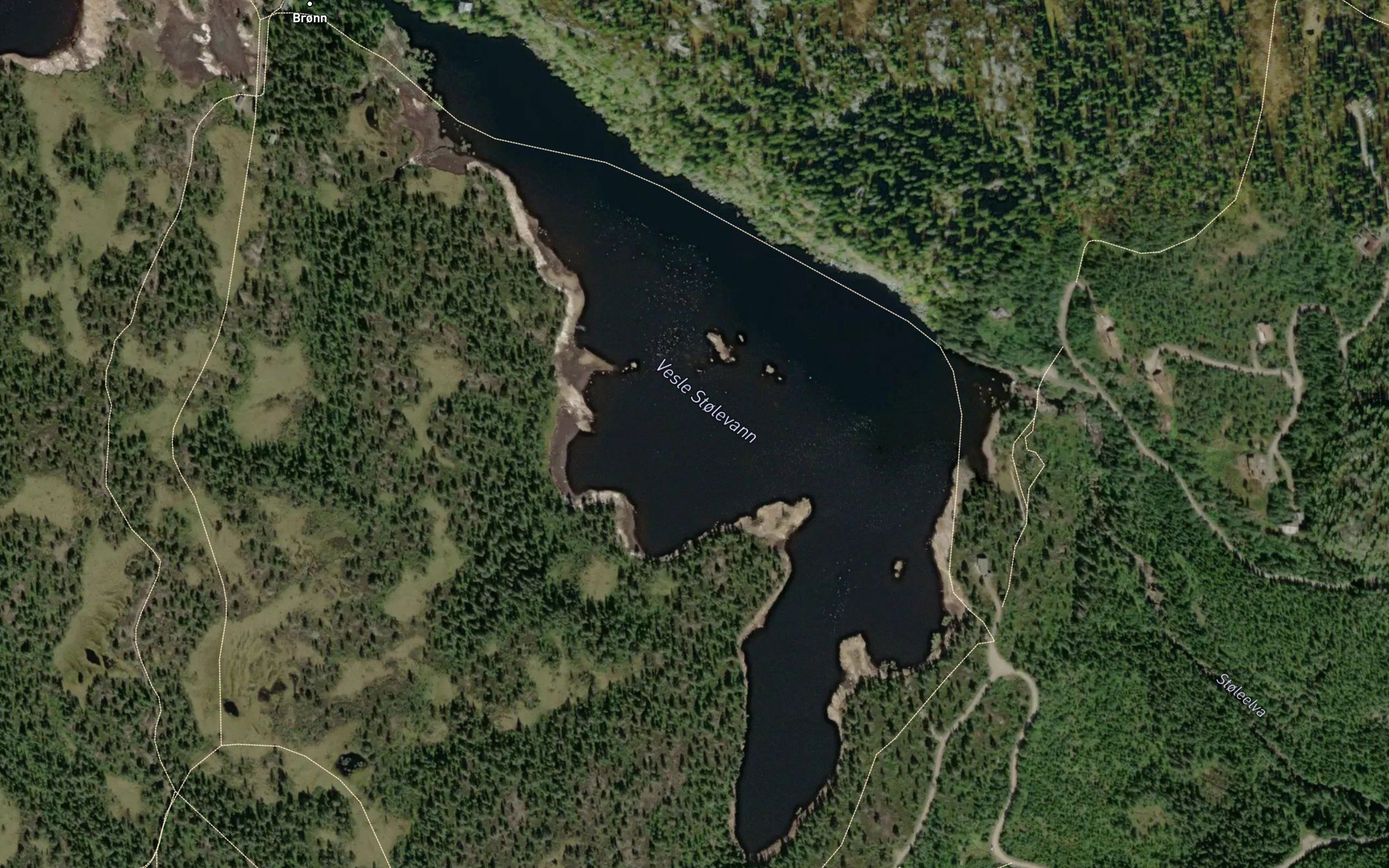 Stolevann,vesle