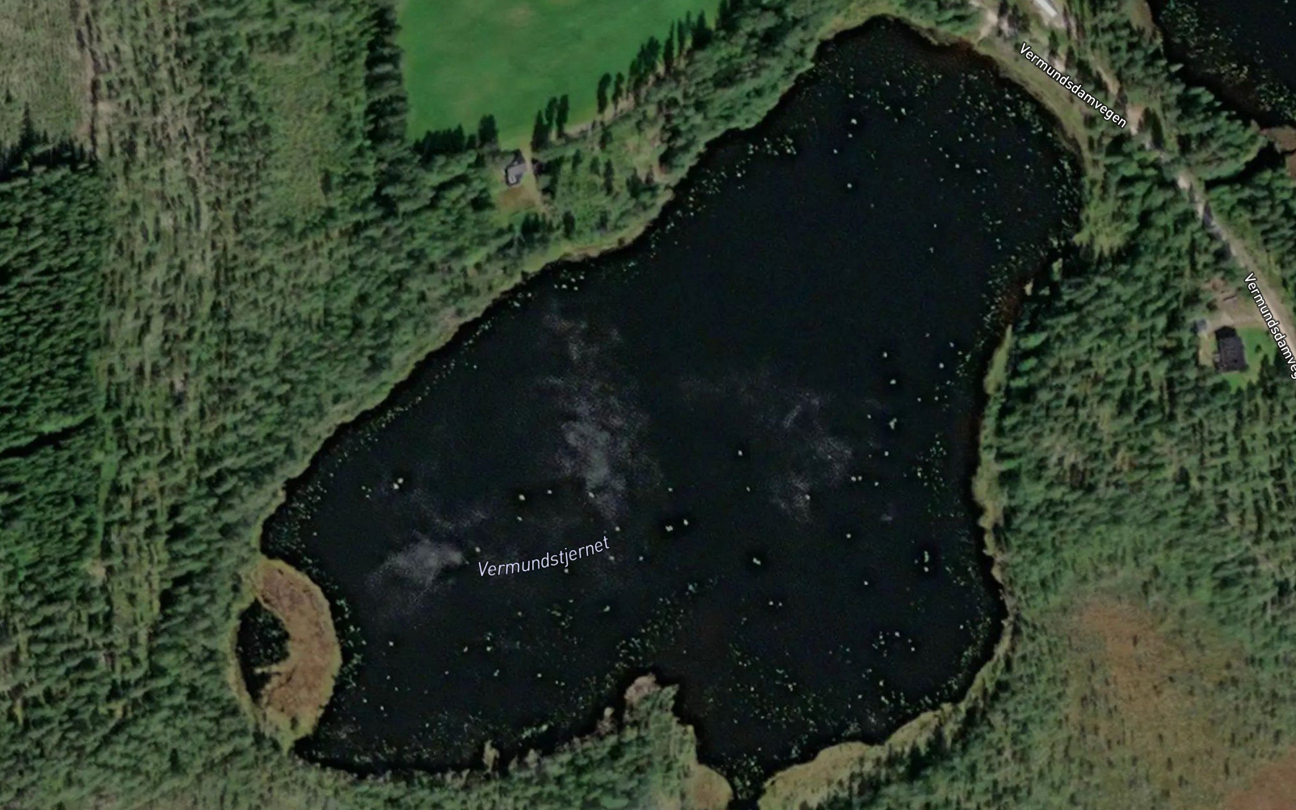 Tjernmotjennet