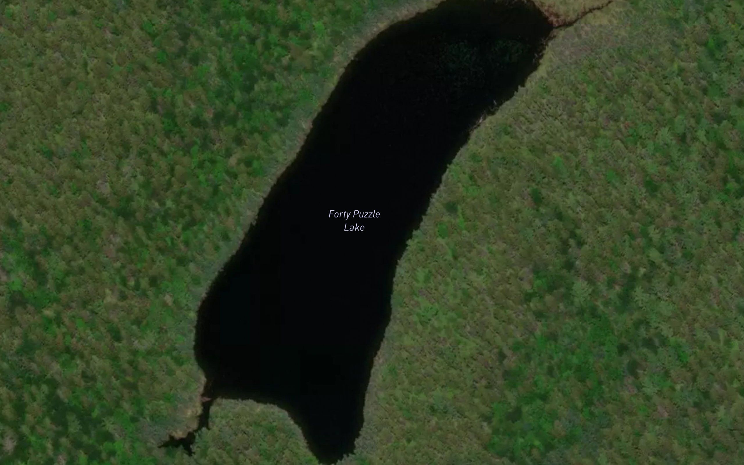 Forty Puzzle Lake