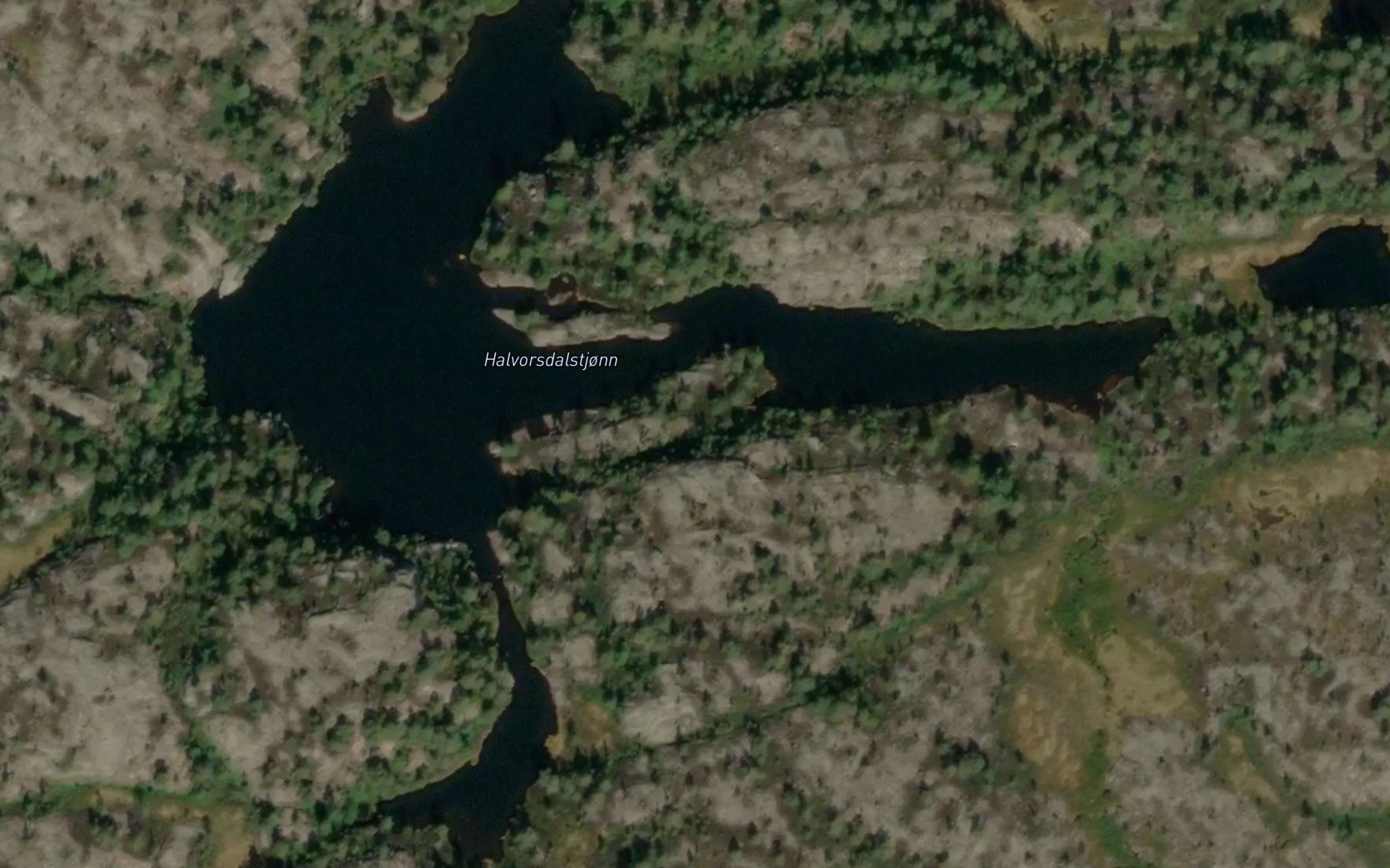 Halvorsdalstjonn