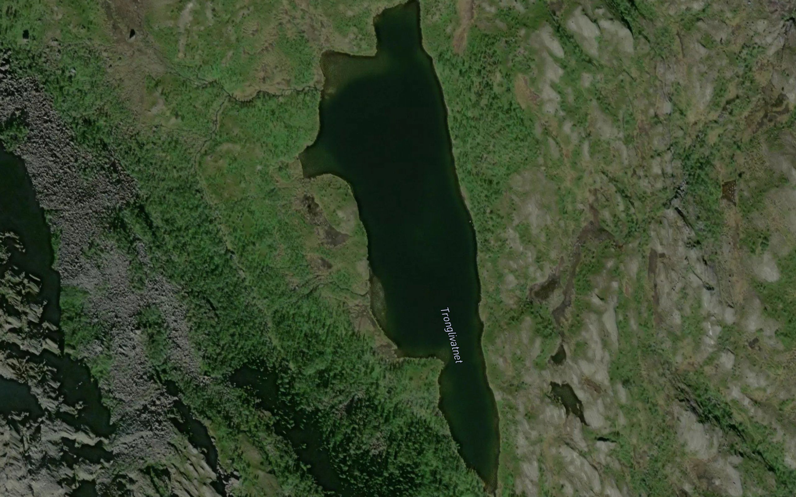 Tronglivatnet