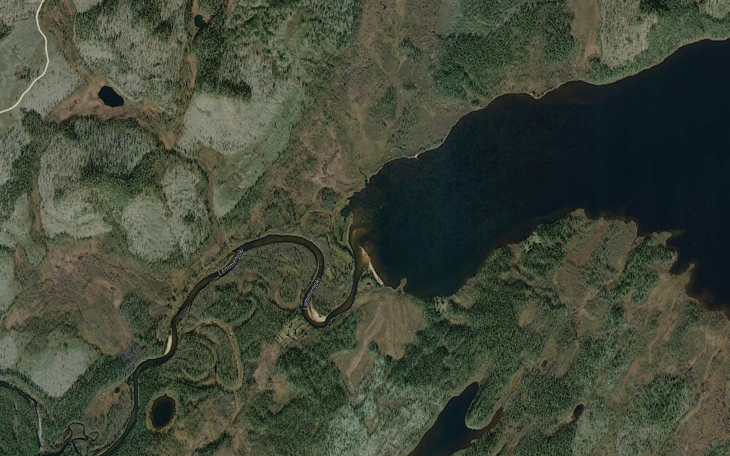 Lemmensuu
