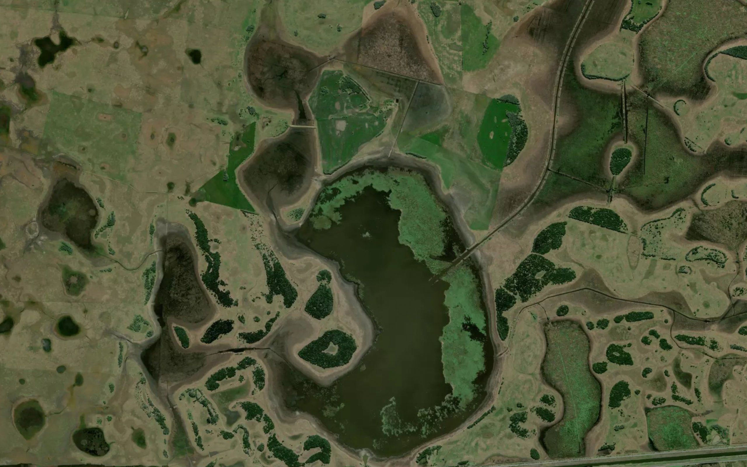 Laguna Las Cruces