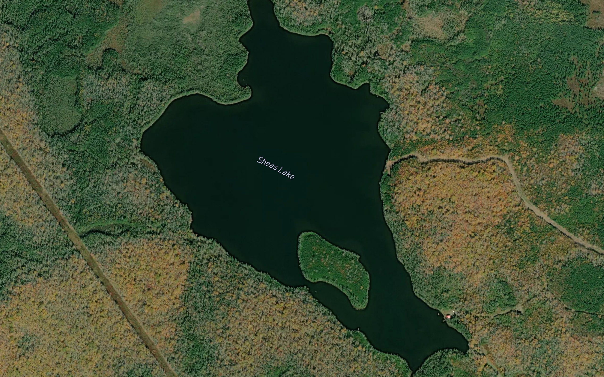 Sheas Lake