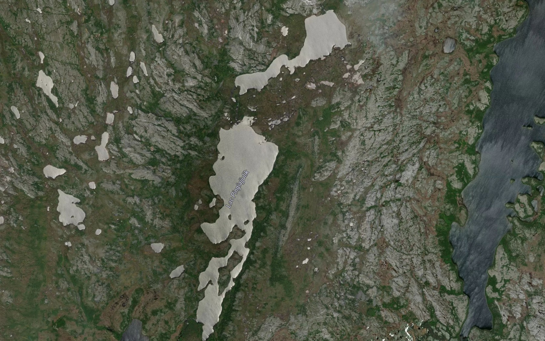 Satellite map of the Lac Pingiajjulik