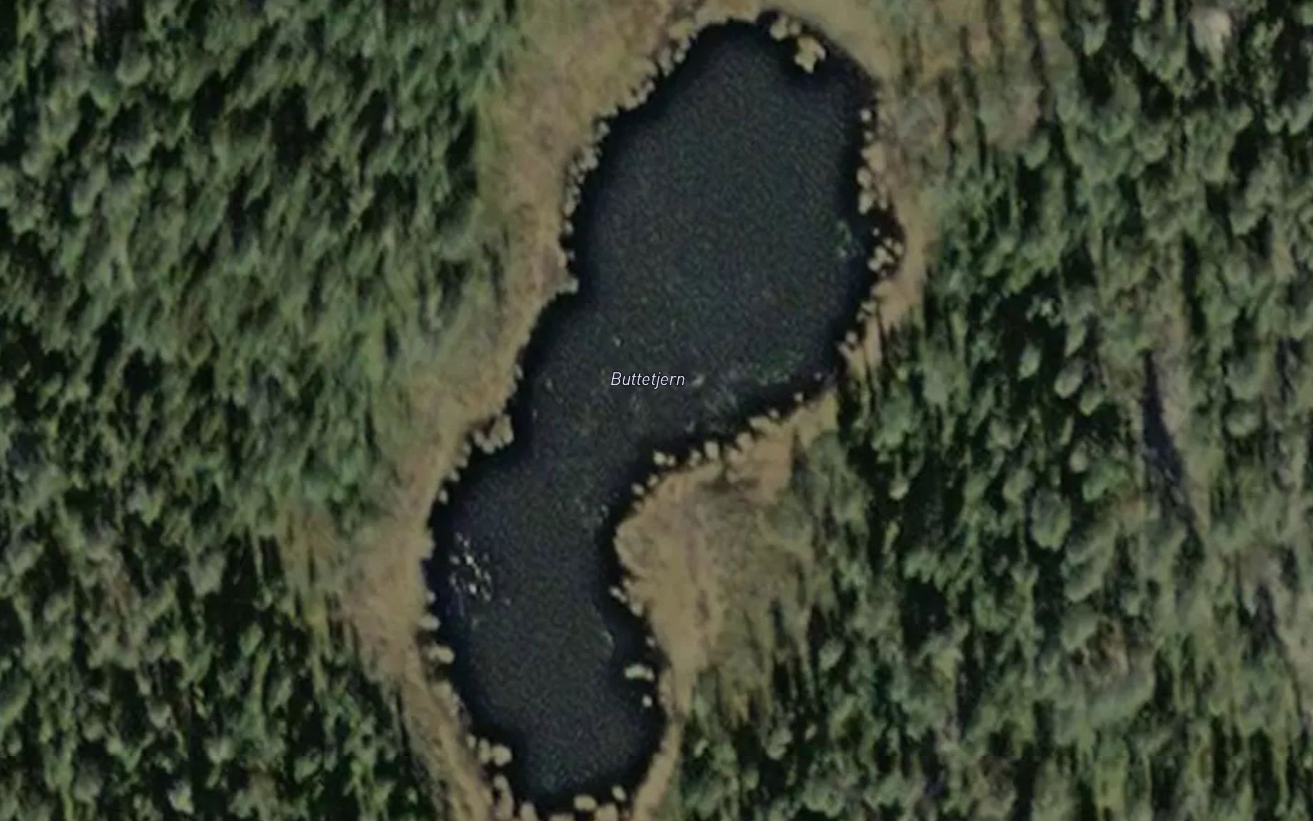 Buttetjern