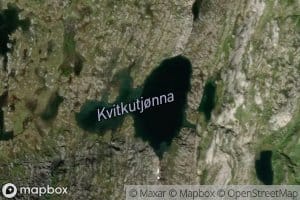 Kvitkutjorna