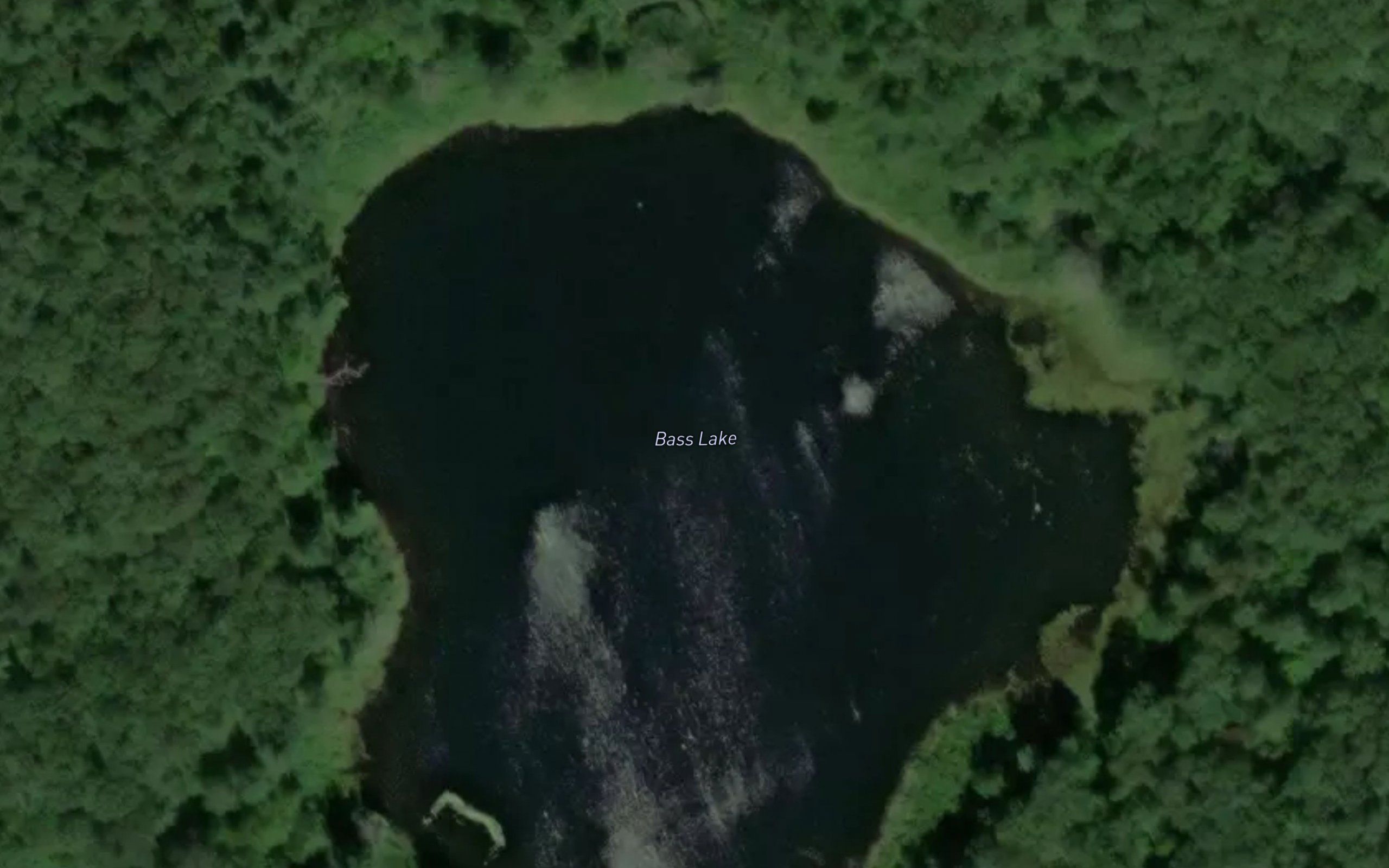 Bass Lake