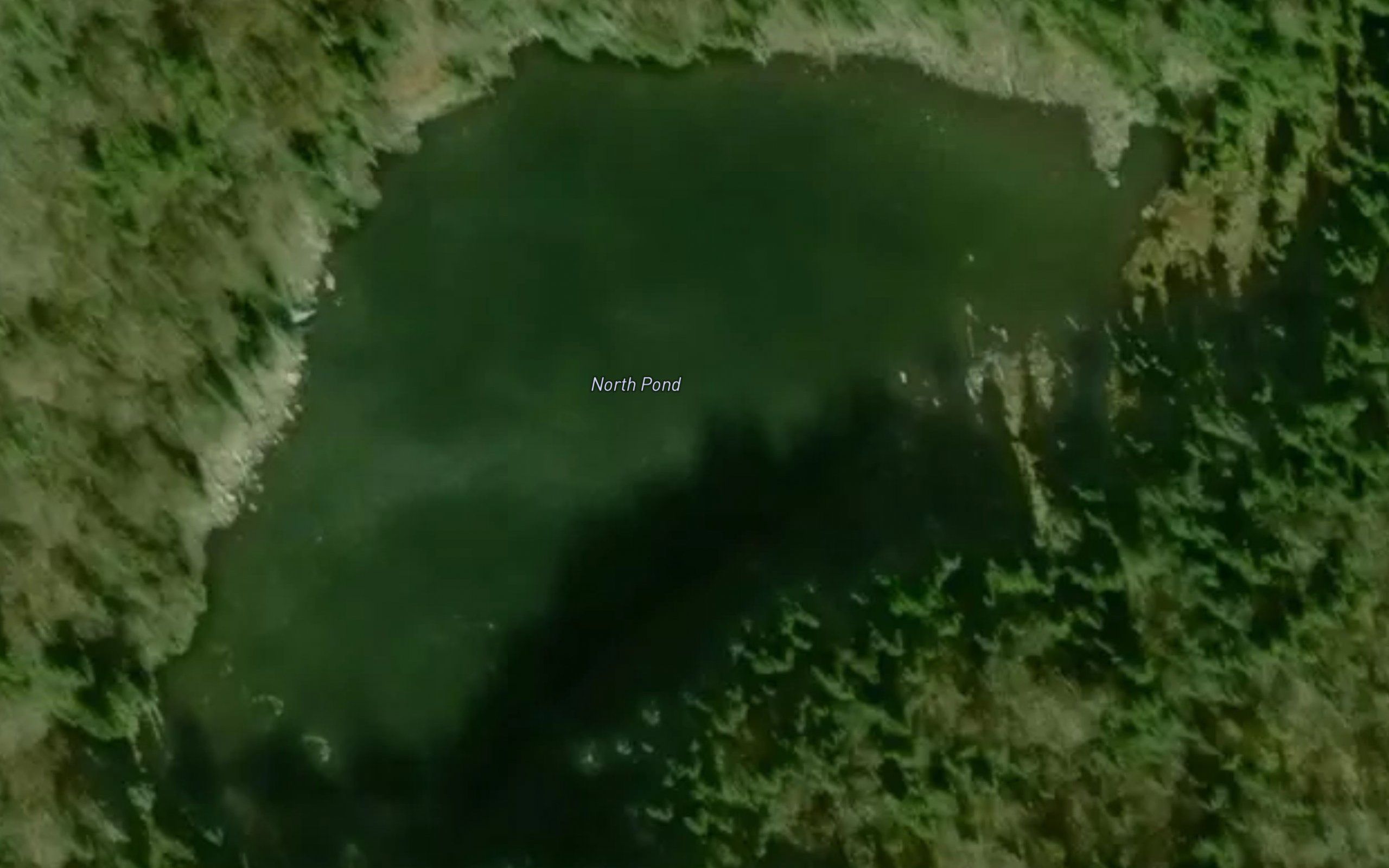 North Pond