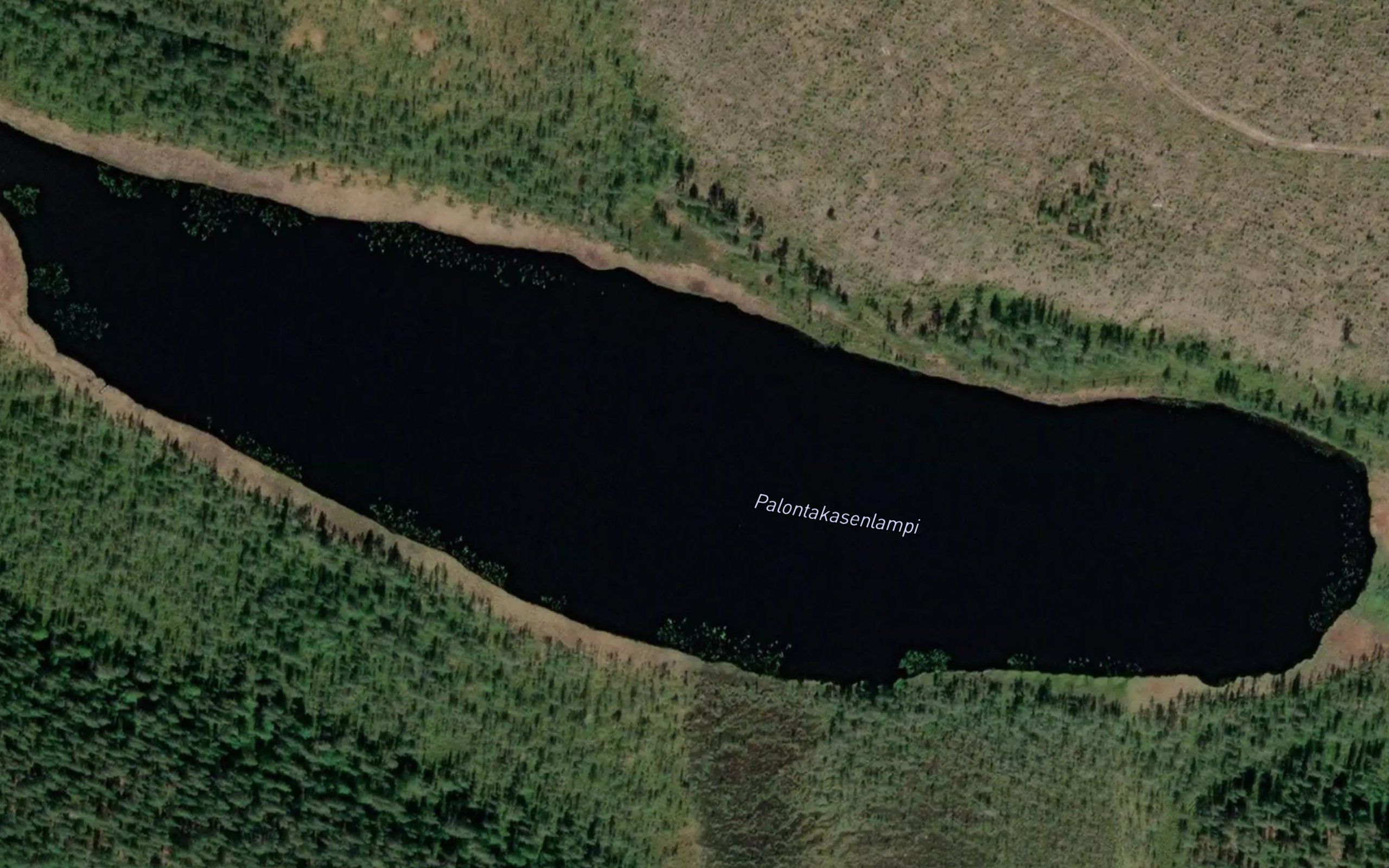 Palontakasenlampi