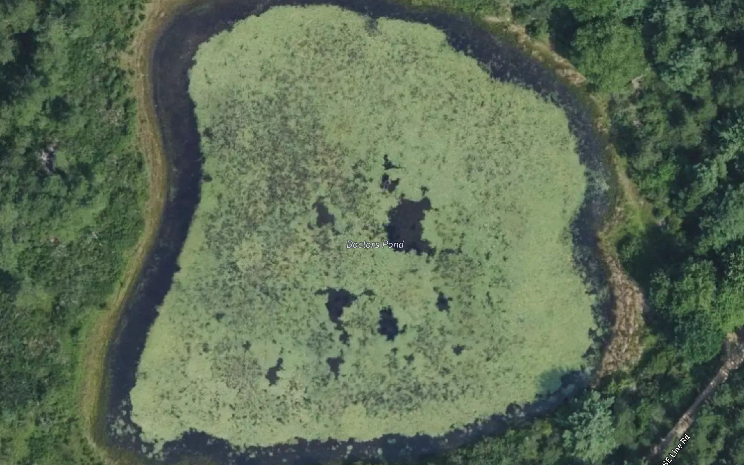 Doctors Pond